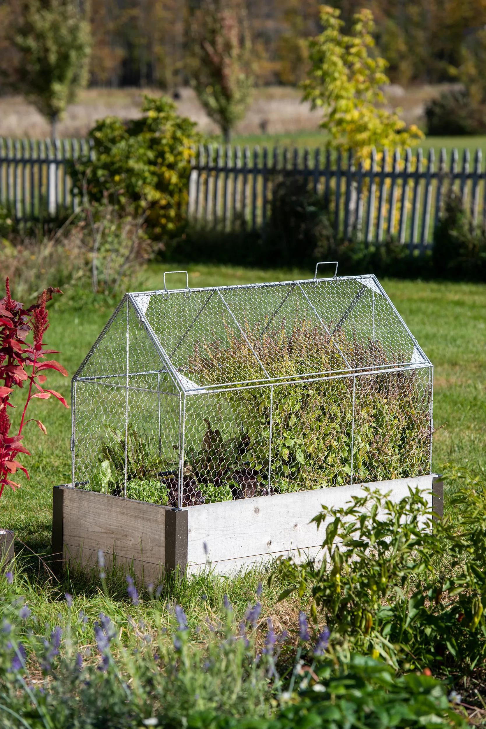 100-chicken-wire-crop-coop-1.jpg Chicken Wire Crop Coop