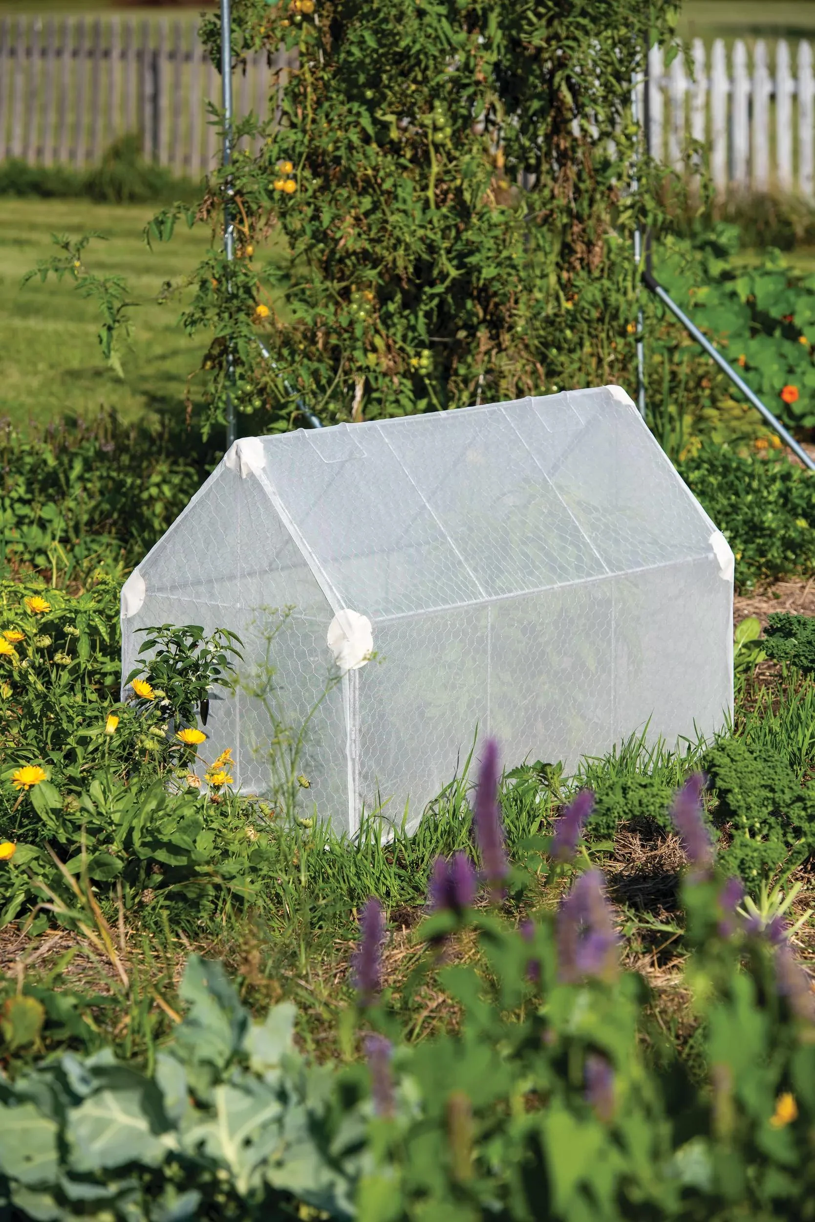 100-chicken-wire-crop-coop-4.webp Chicken Wire Crop Coop
