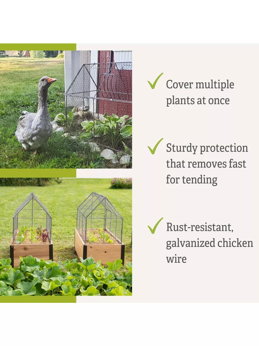 100-chicken-wire-crop-coop-5.jpg Chicken Wire Crop Coop