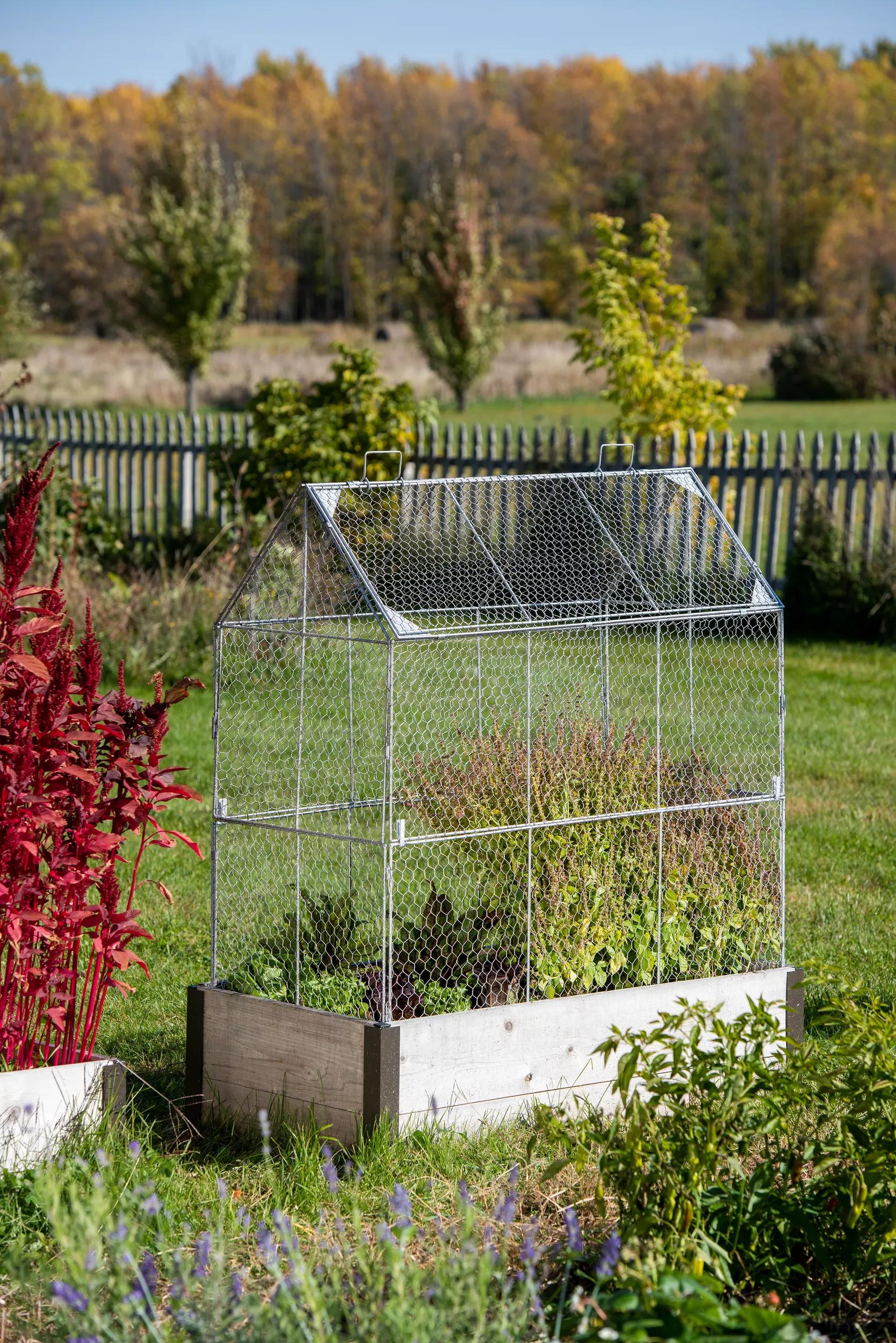 101-chicken-wire-crop-coop-extension-1.jpg Chicken Wire Crop Coop Extension