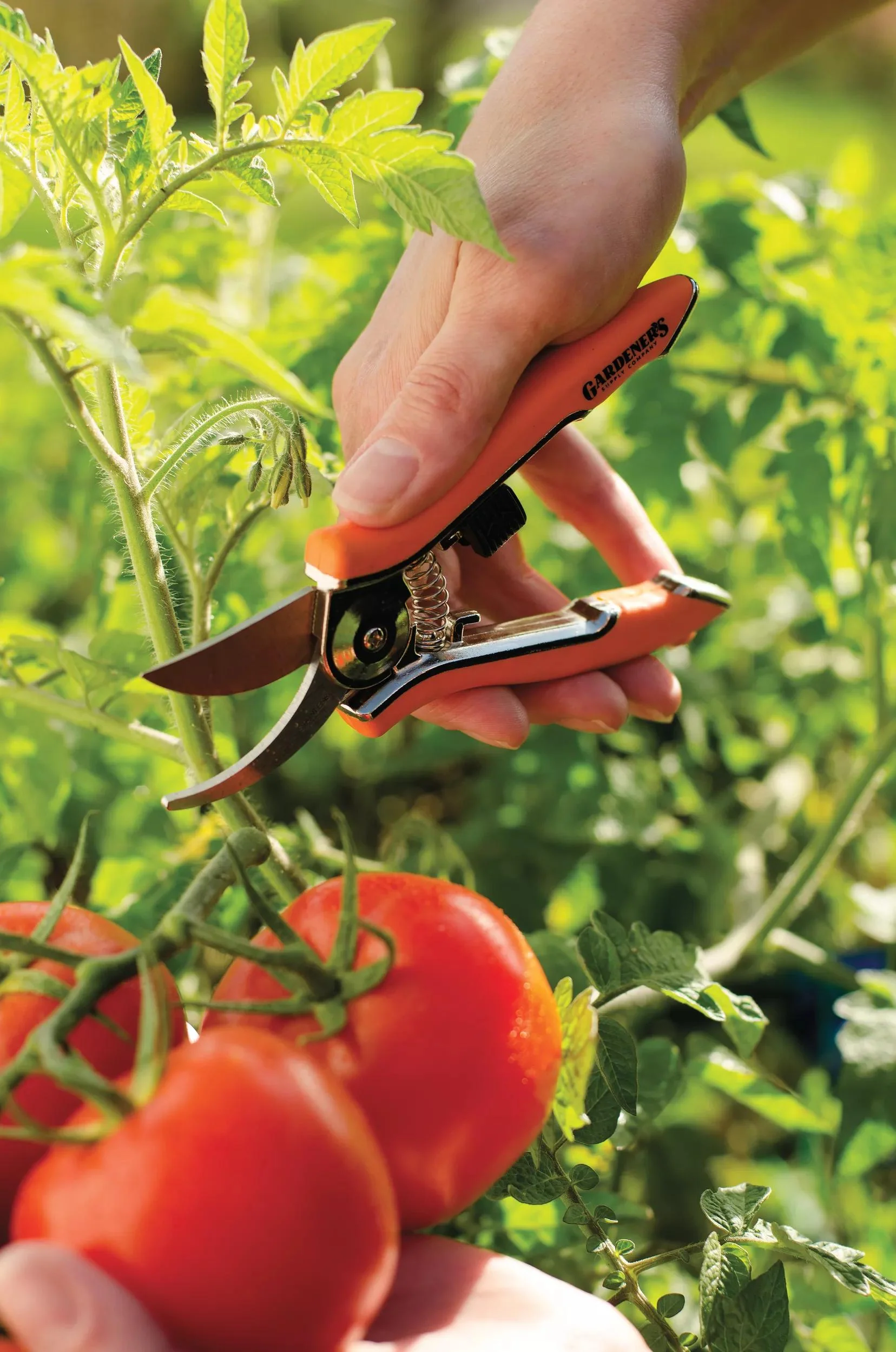 Pocket Pruners