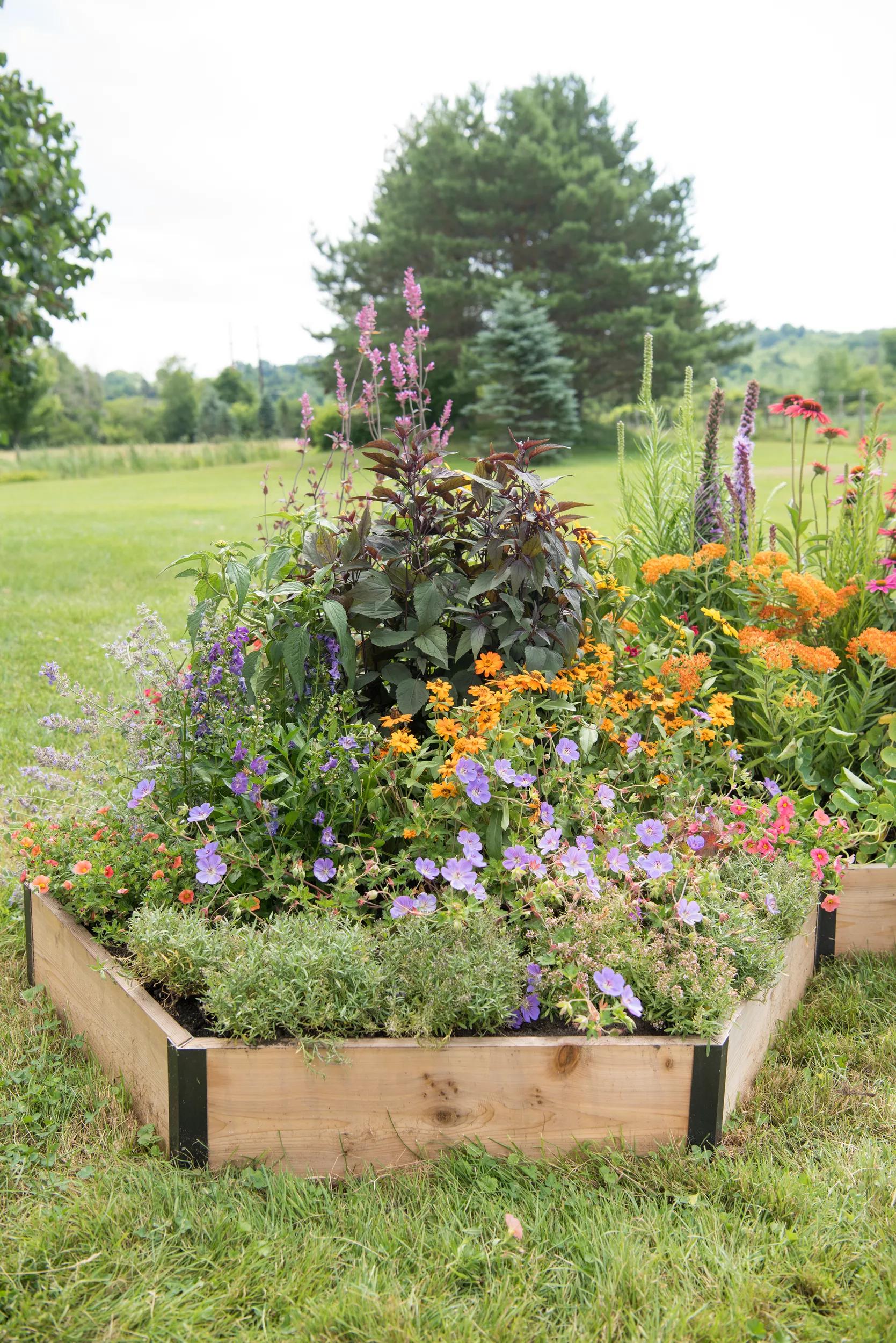 Pollinator Cedar Garden Bed