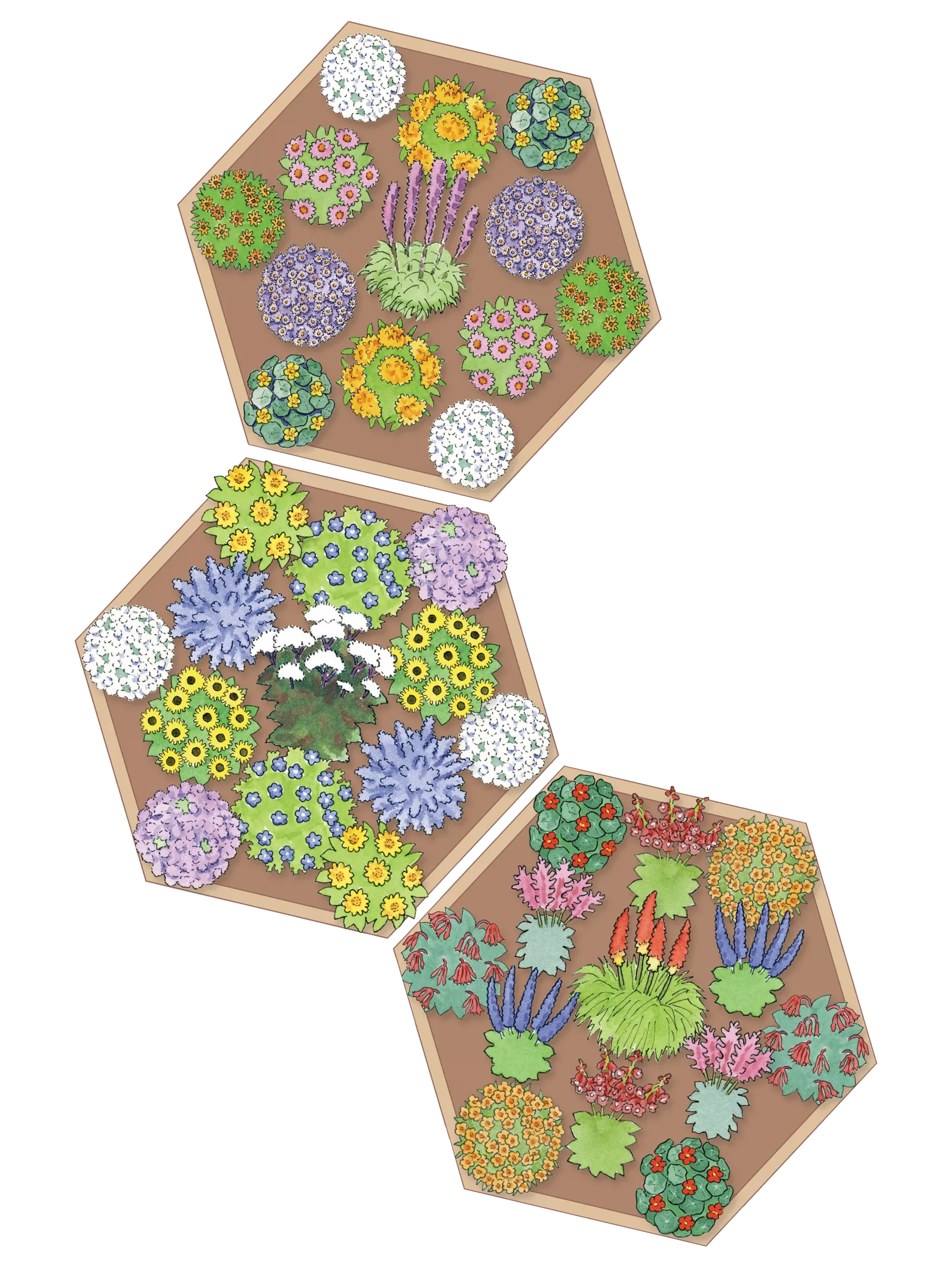 Pollinator Cedar Garden Bed