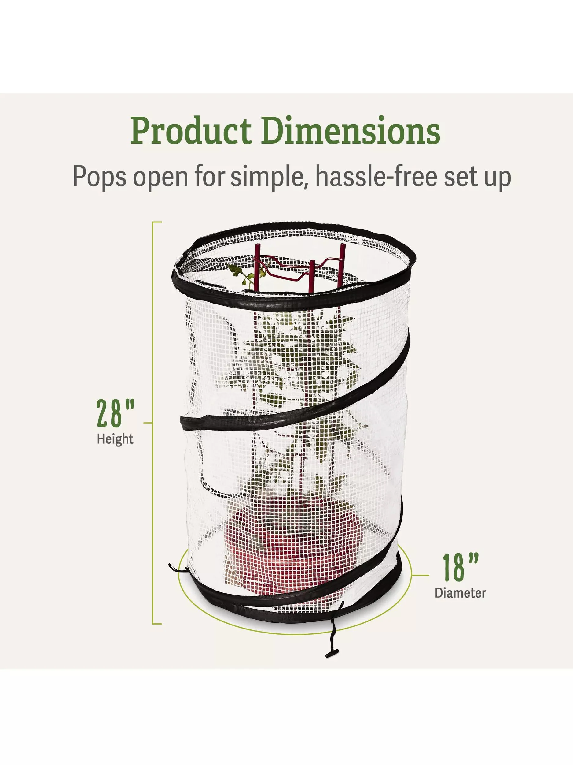 Pop-Up Tomato Accelerator