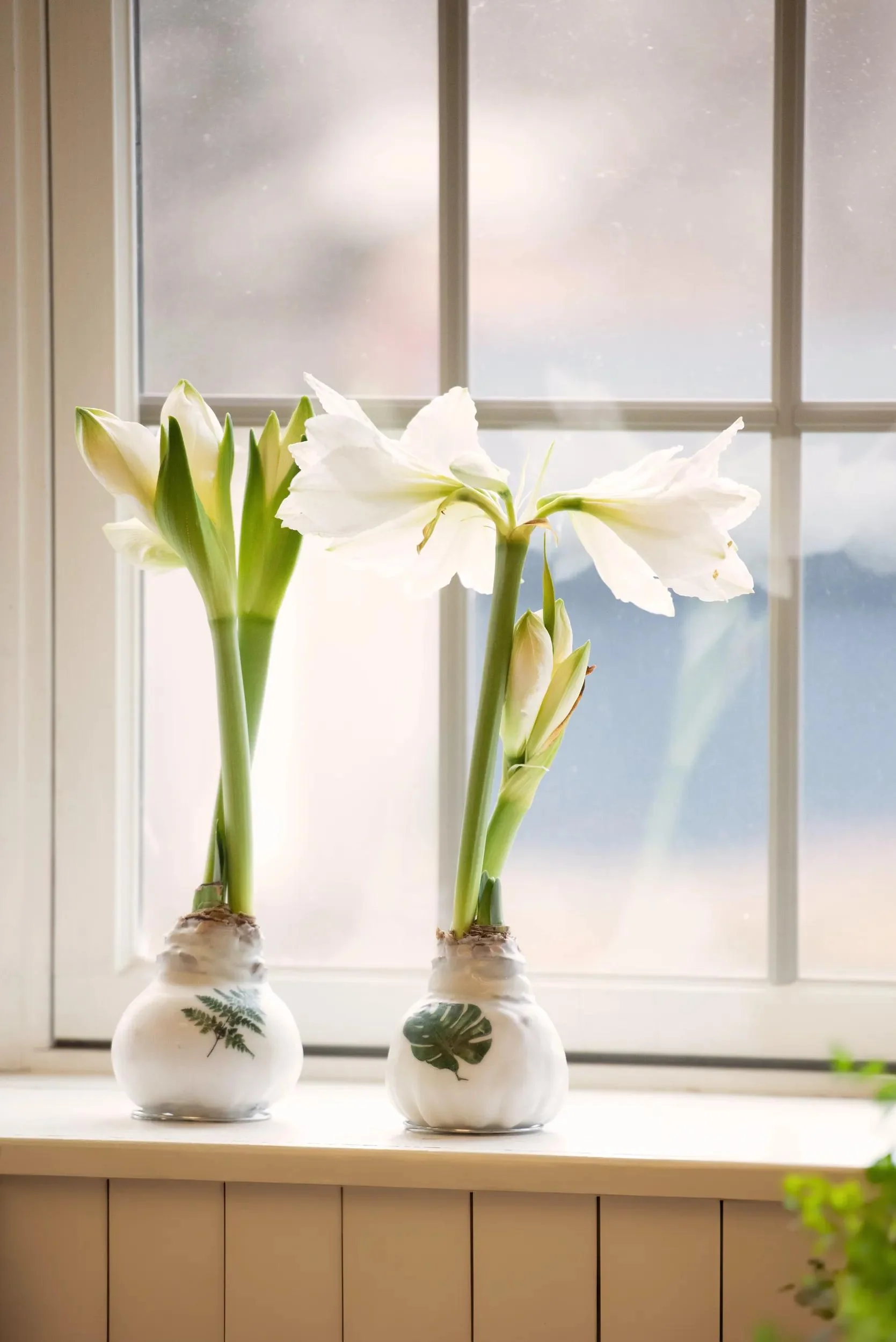 1132-printed-leaf-waxed-amaryllis-set-of-3-2.webp Printed Leaf Waxed Amaryllis (Set of 3)