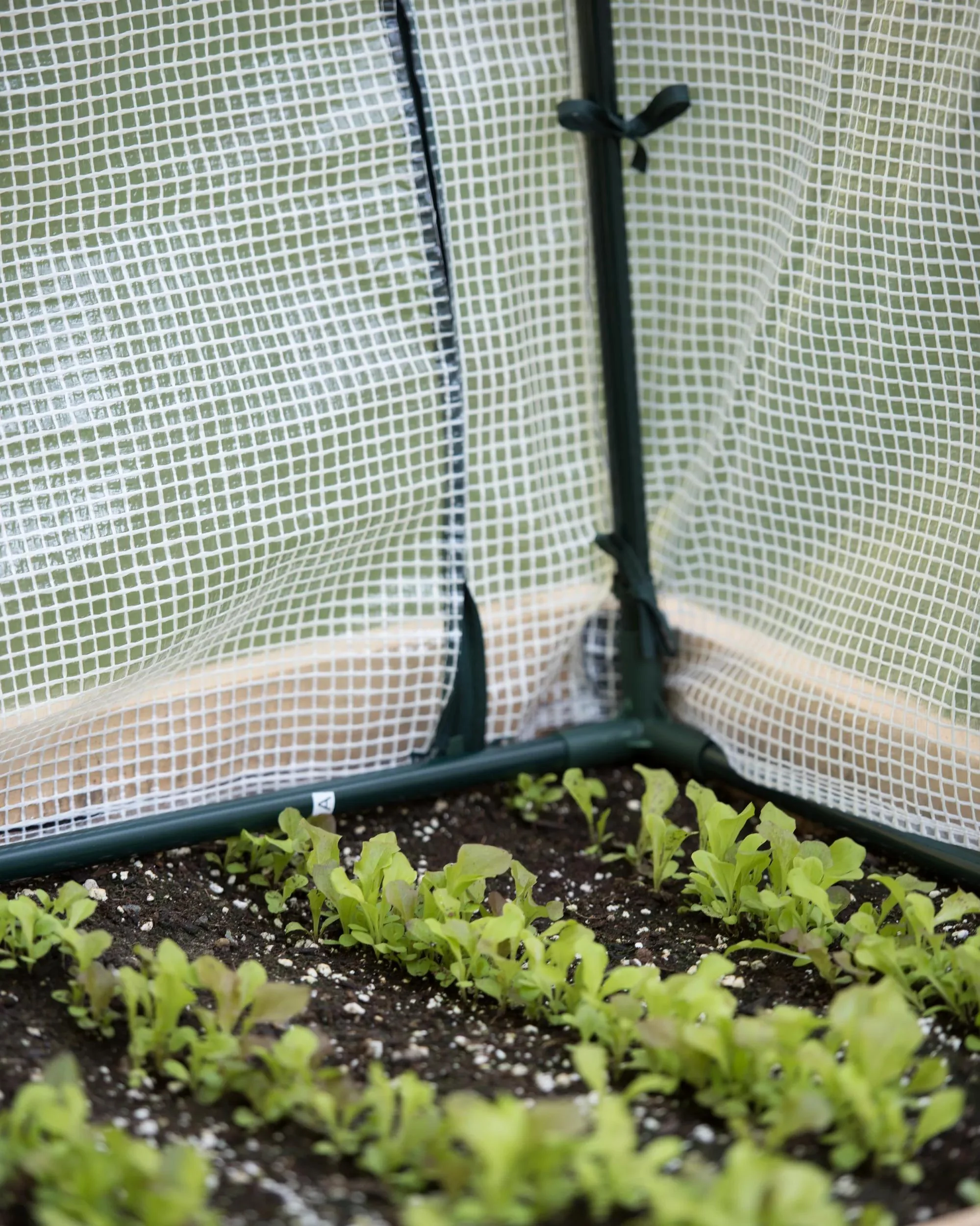 Protection Frame & Covers, 2' x 4'