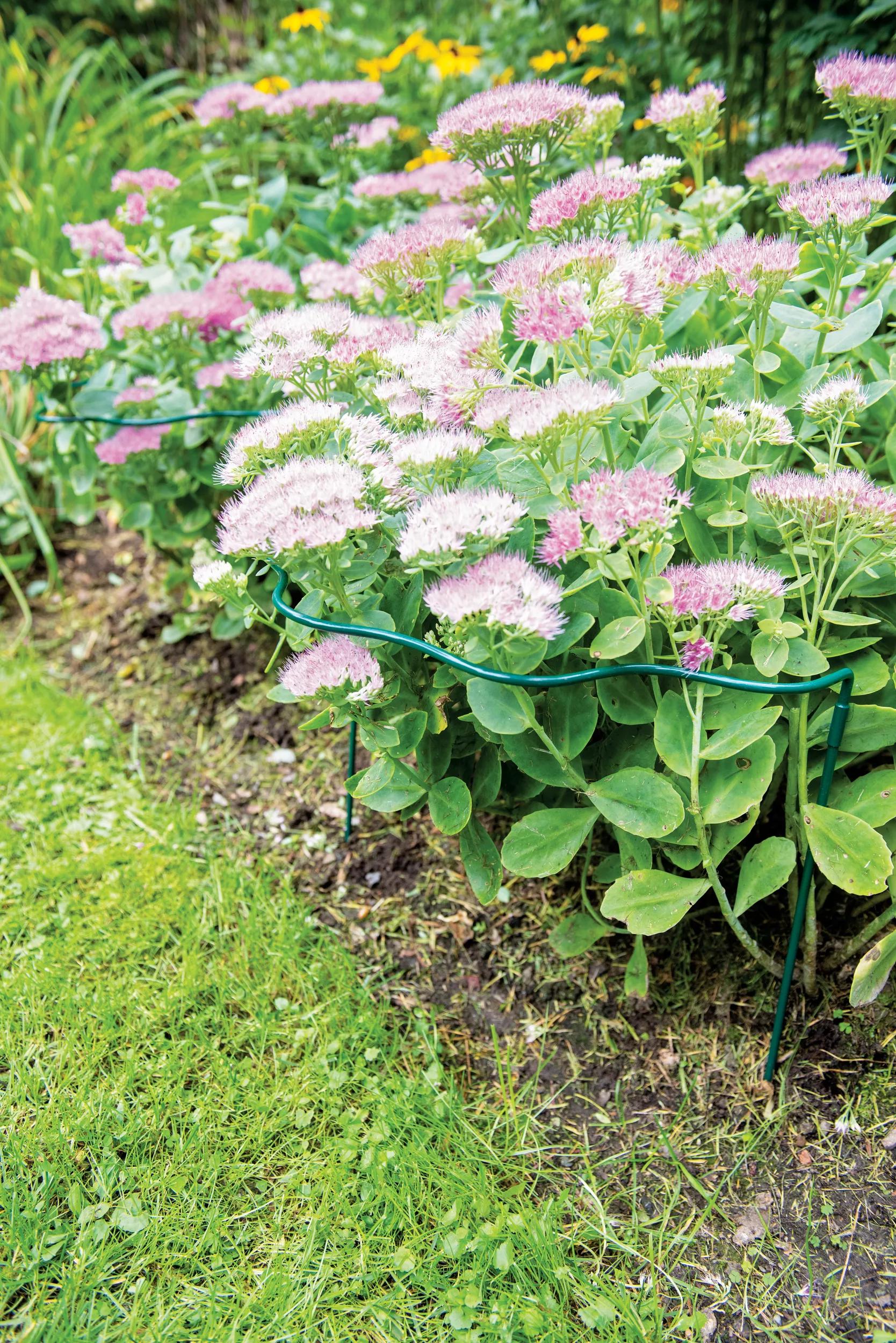 Scalloped Plant Supports, Set of 2