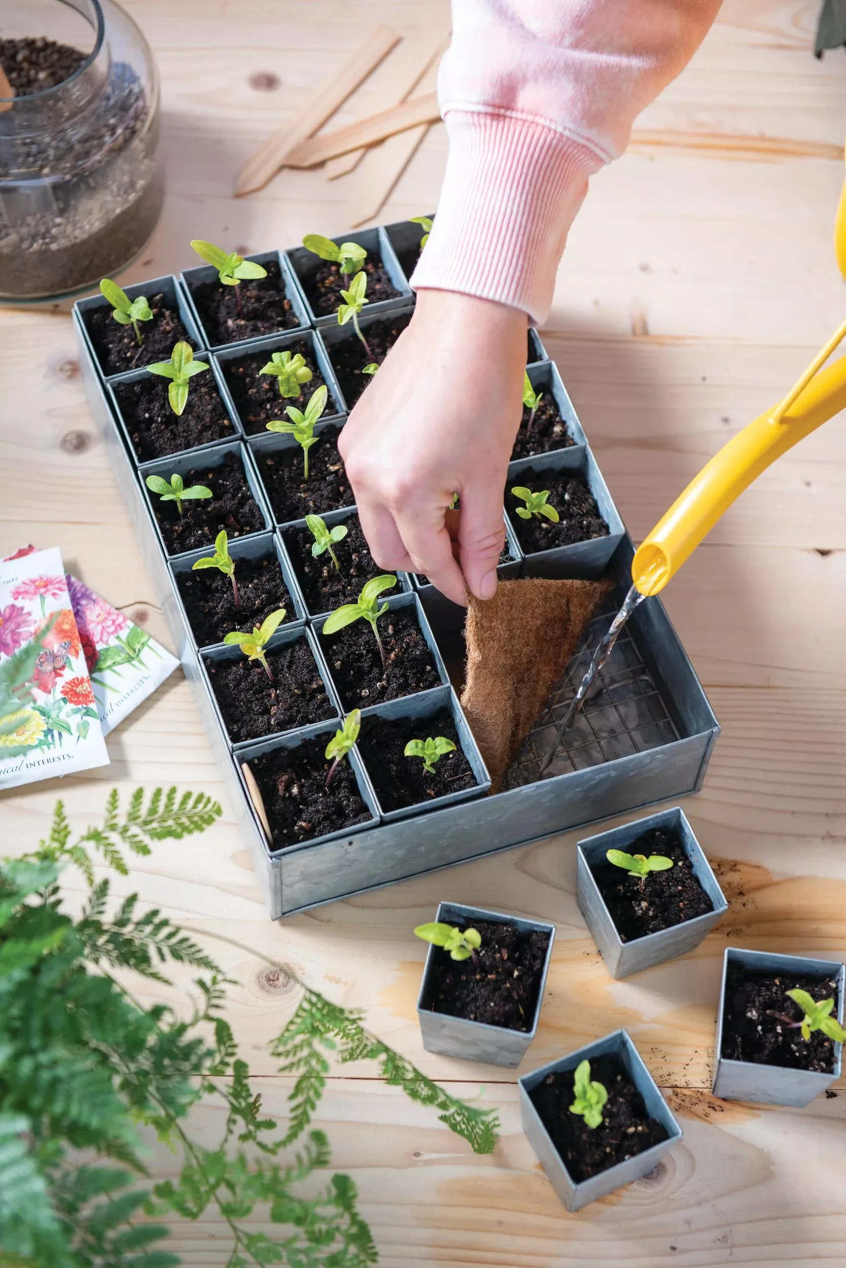1201-self-watering-galvanized-seed-starting-tray-1.webp Self-Watering Galvanized Seed Starting Tray