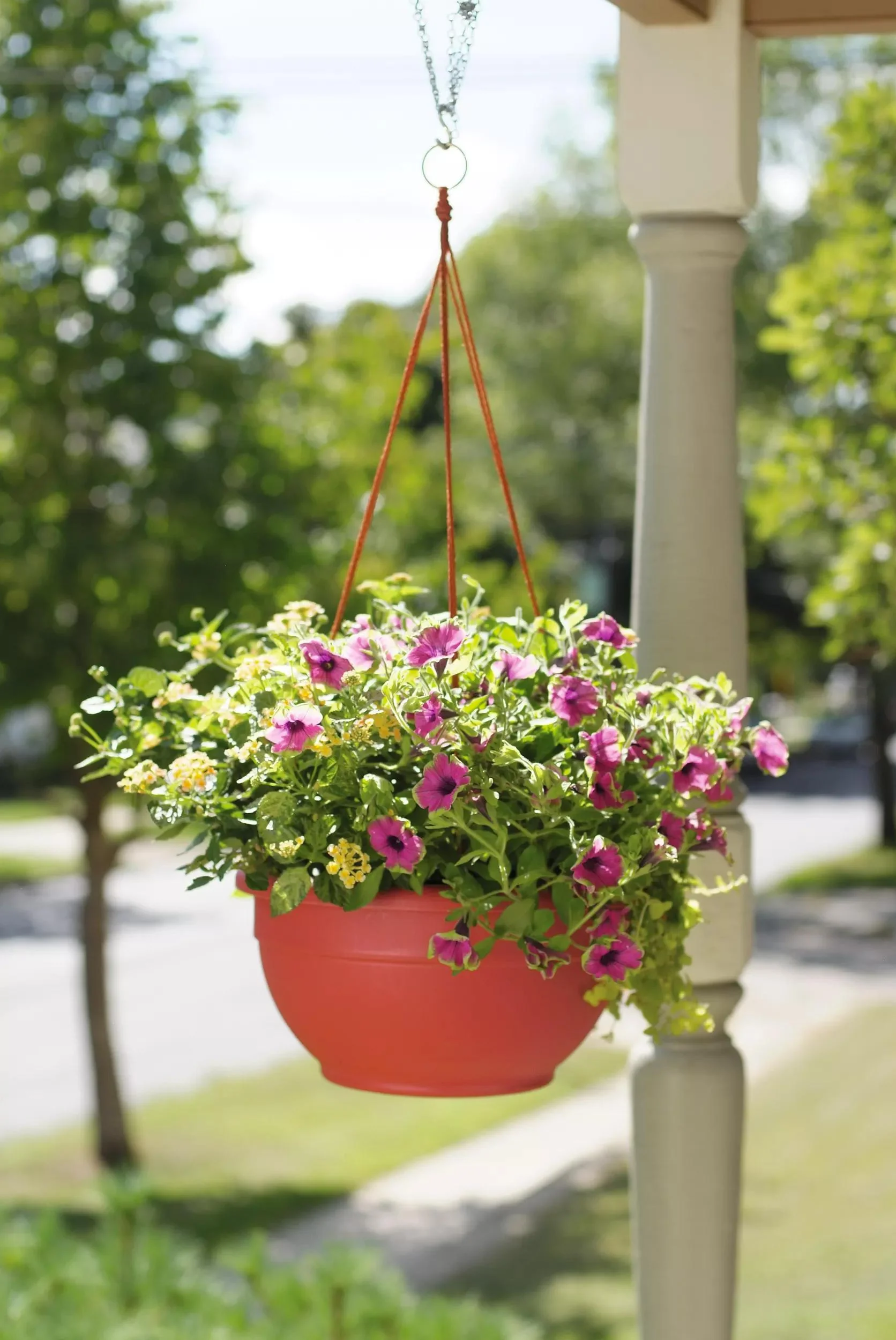 Self-Watering Hanging Basket