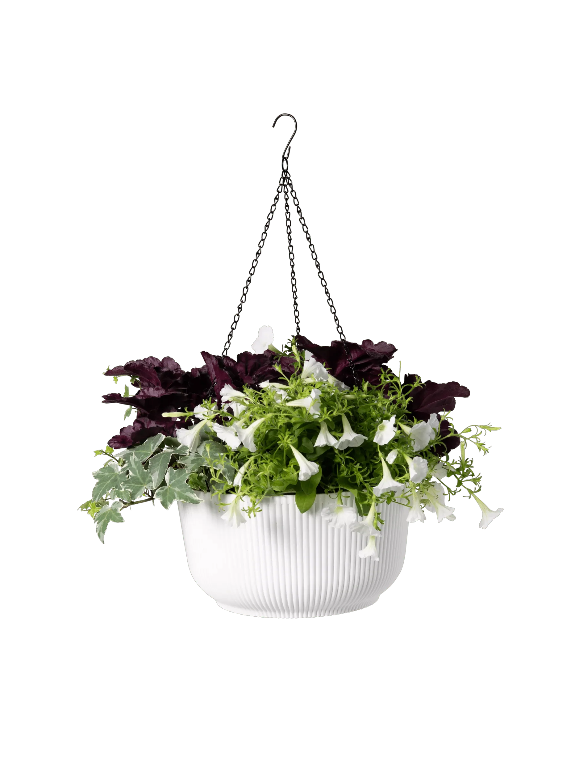Self-Watering Ribbed Hanging Basket, 11", Set of 2