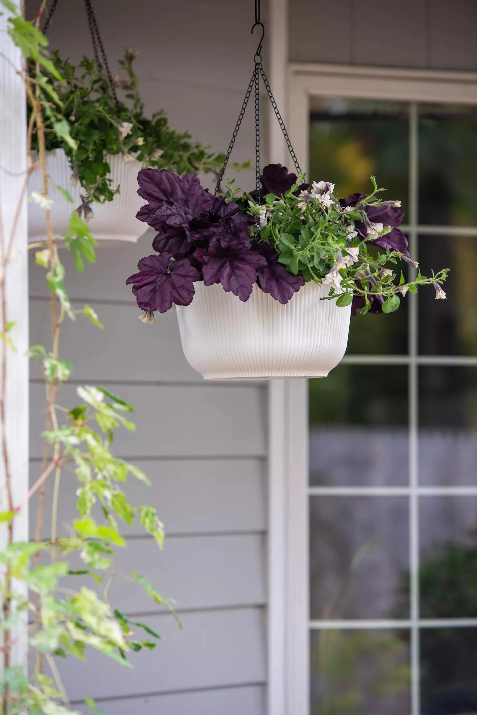 Self-Watering Ribbed Hanging Basket, 11", Set of 2