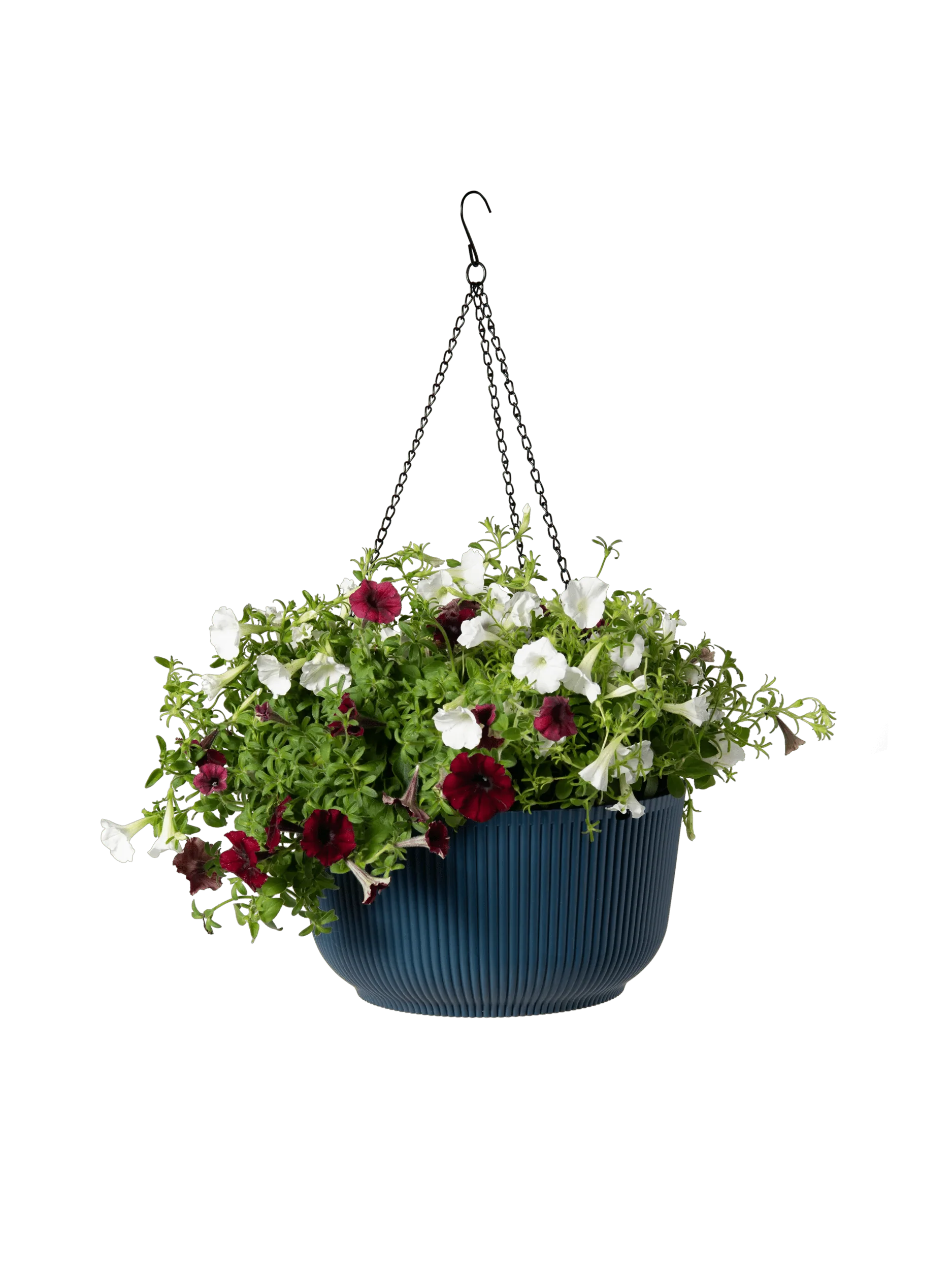 Self-Watering Ribbed Hanging Basket, 11", Set of 2