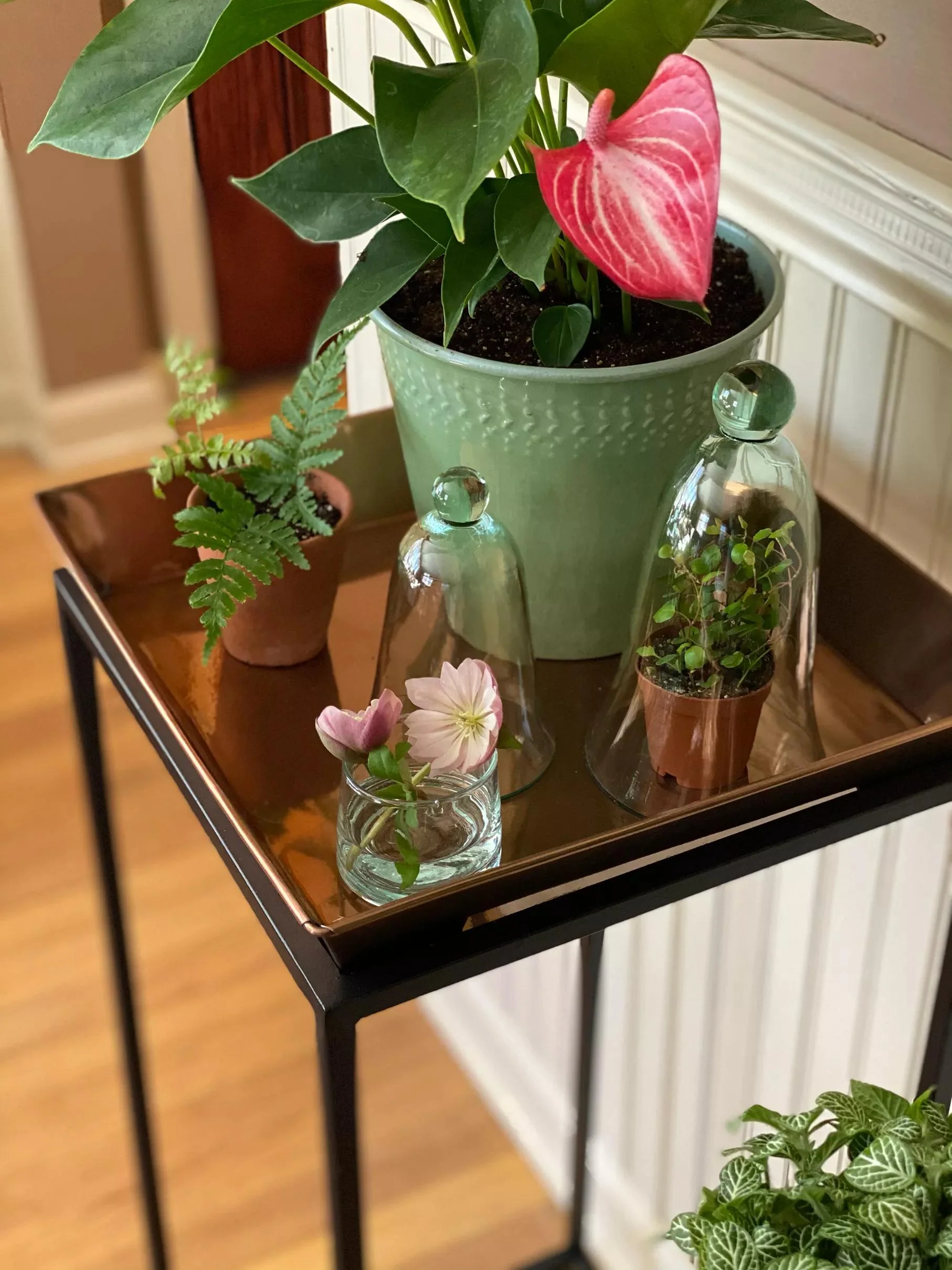 Square Nesting Plant Stands with Trays, Set of 2