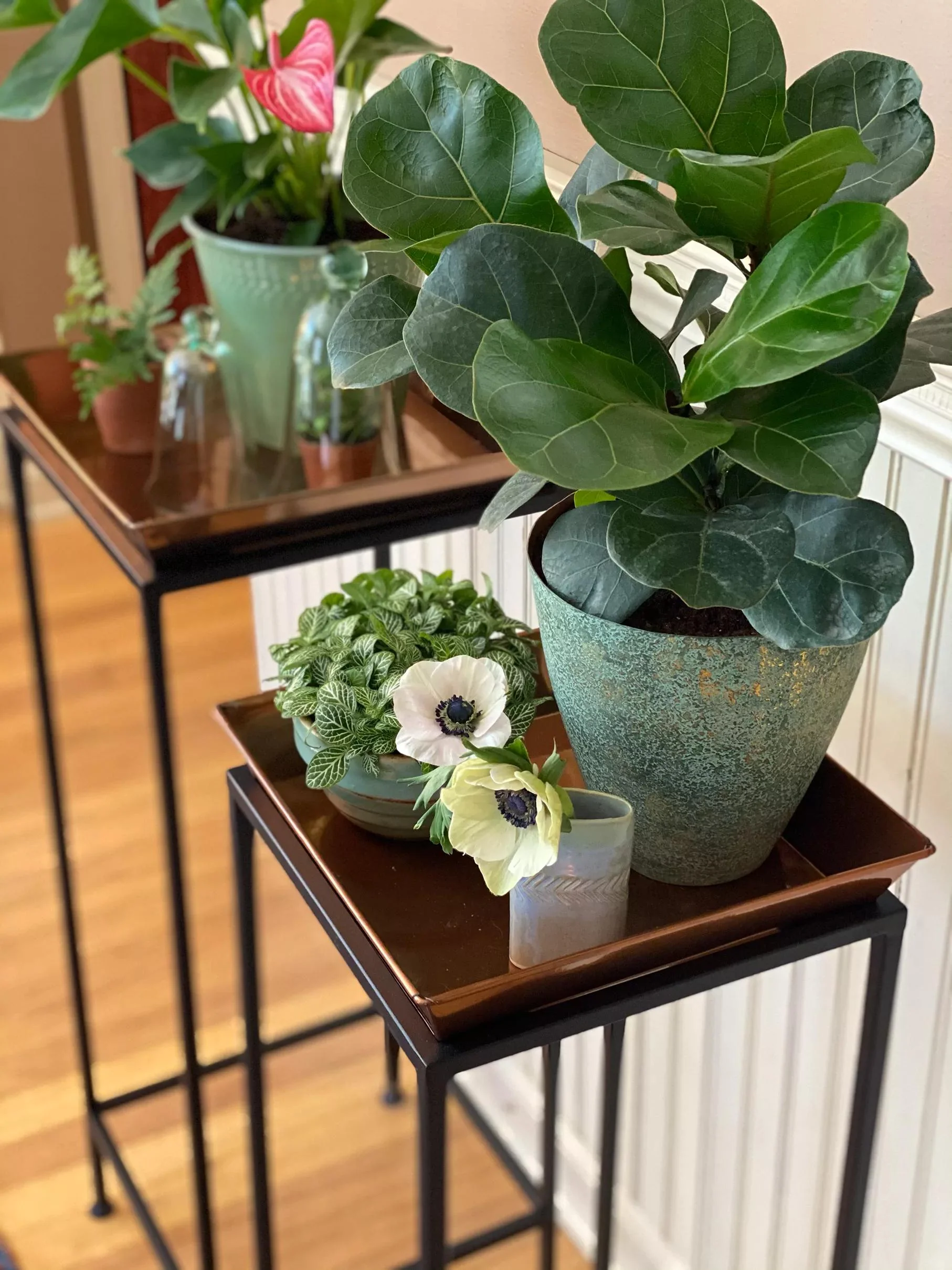 Square Nesting Plant Stands with Trays, Set of 2