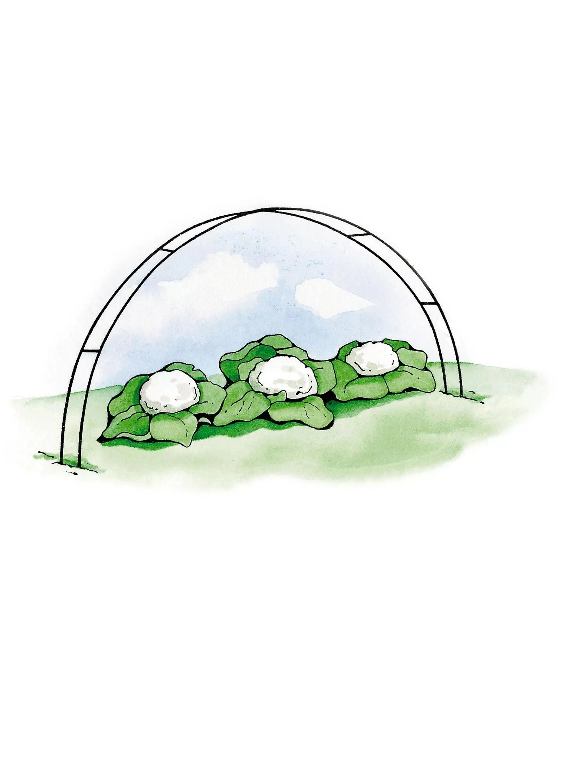 Super Hoops™, Set of 6