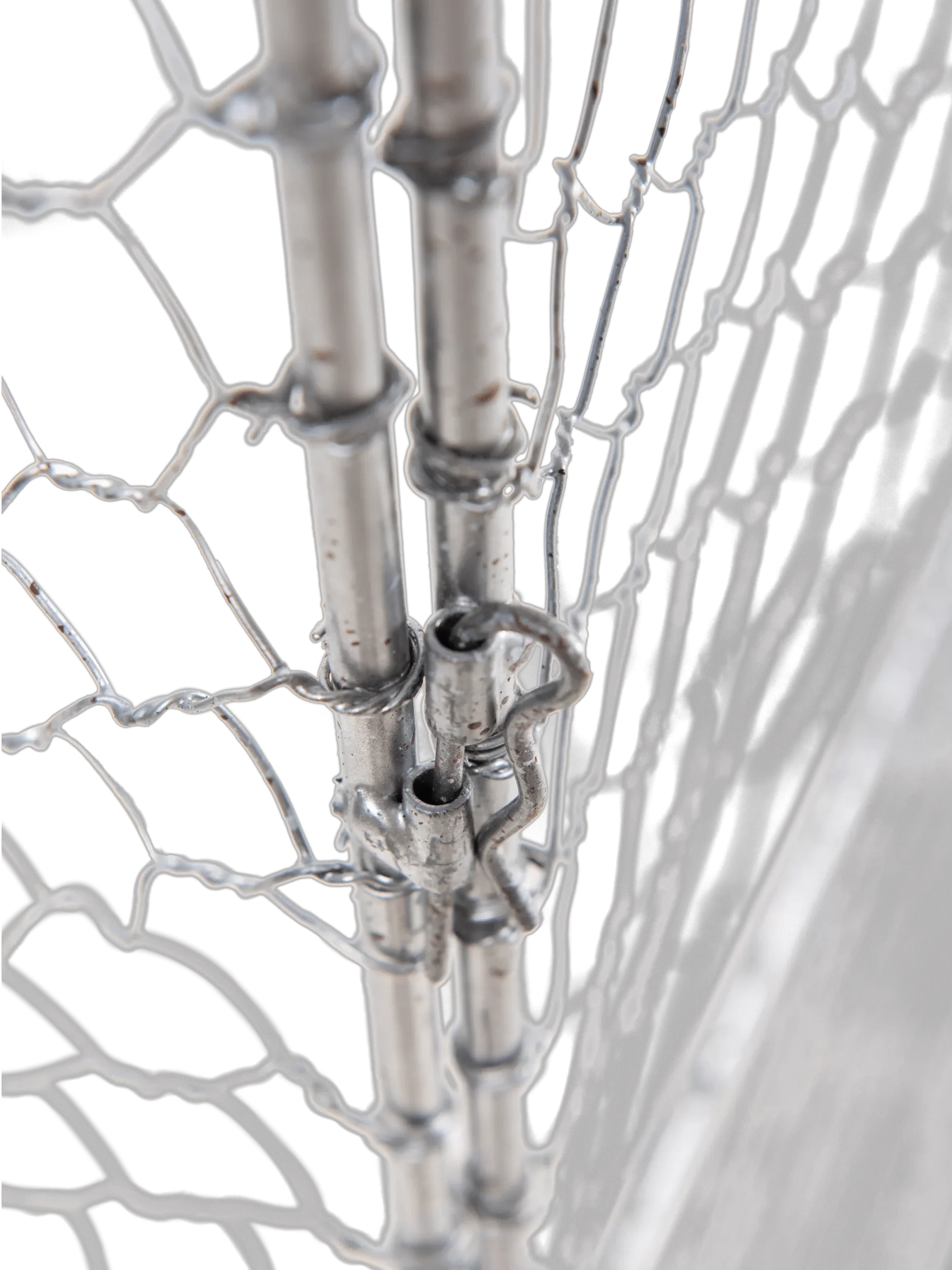 Tall Chicken Wire Critter Fence with Gate