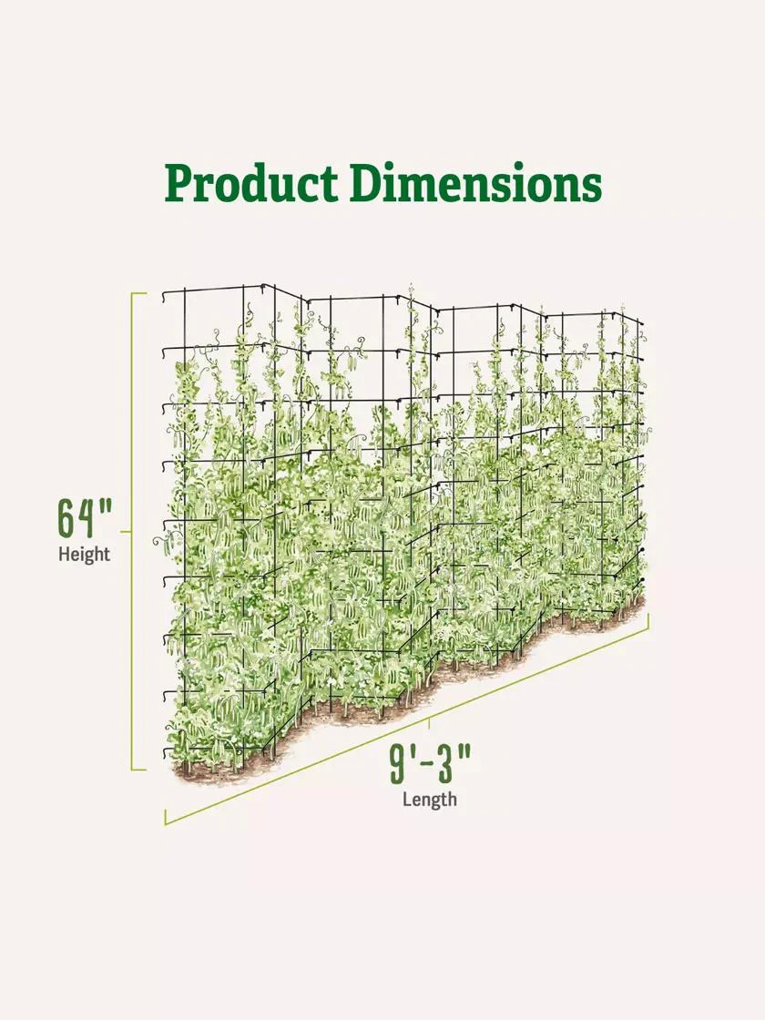 Tall Expandable Pea Trellis