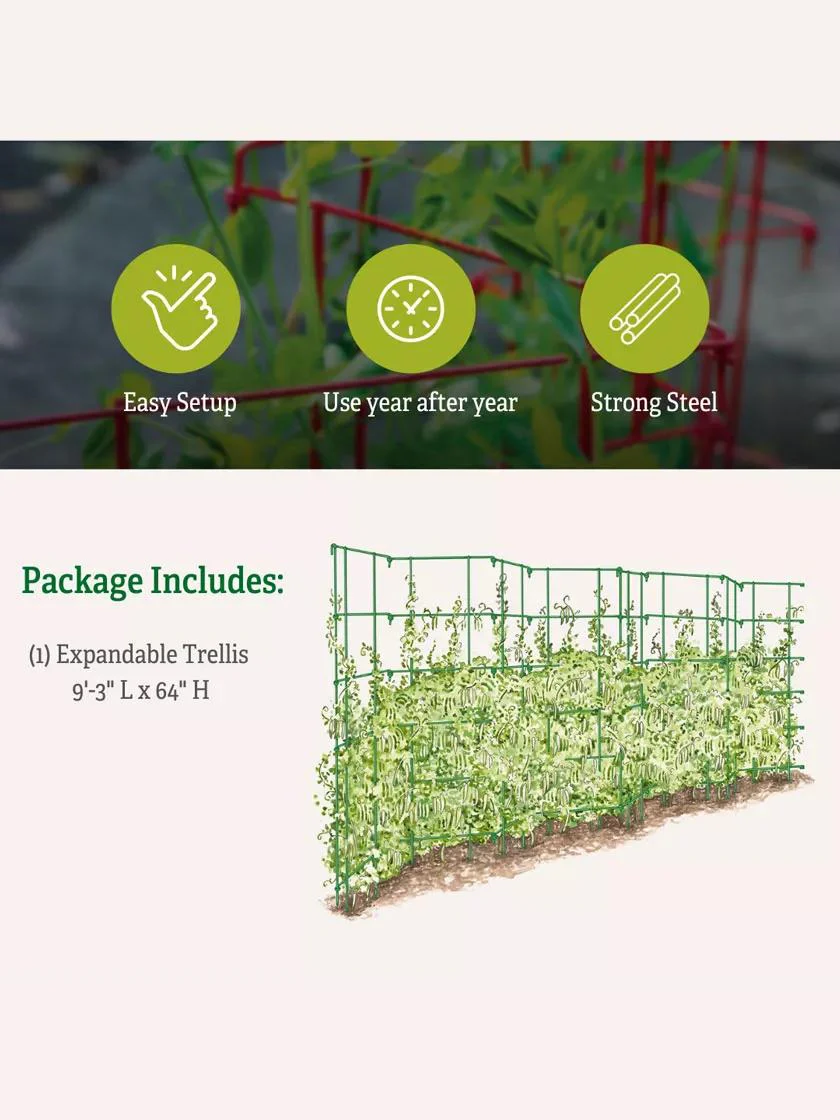 Tall Expandable Pea Trellis