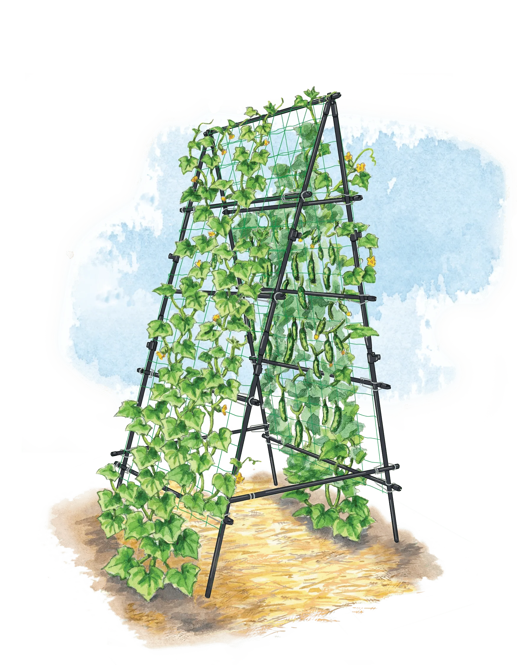 Titan™ A-Frame Trellis