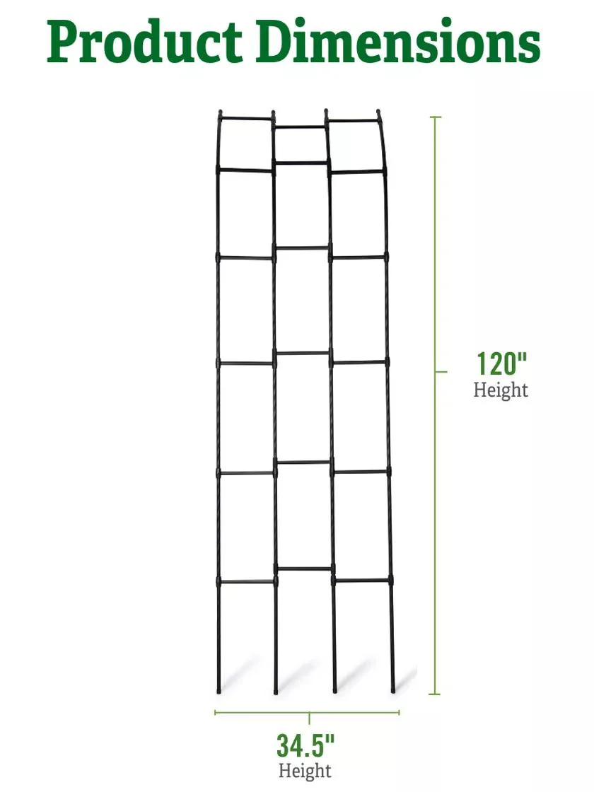 Titan™ Half Arch