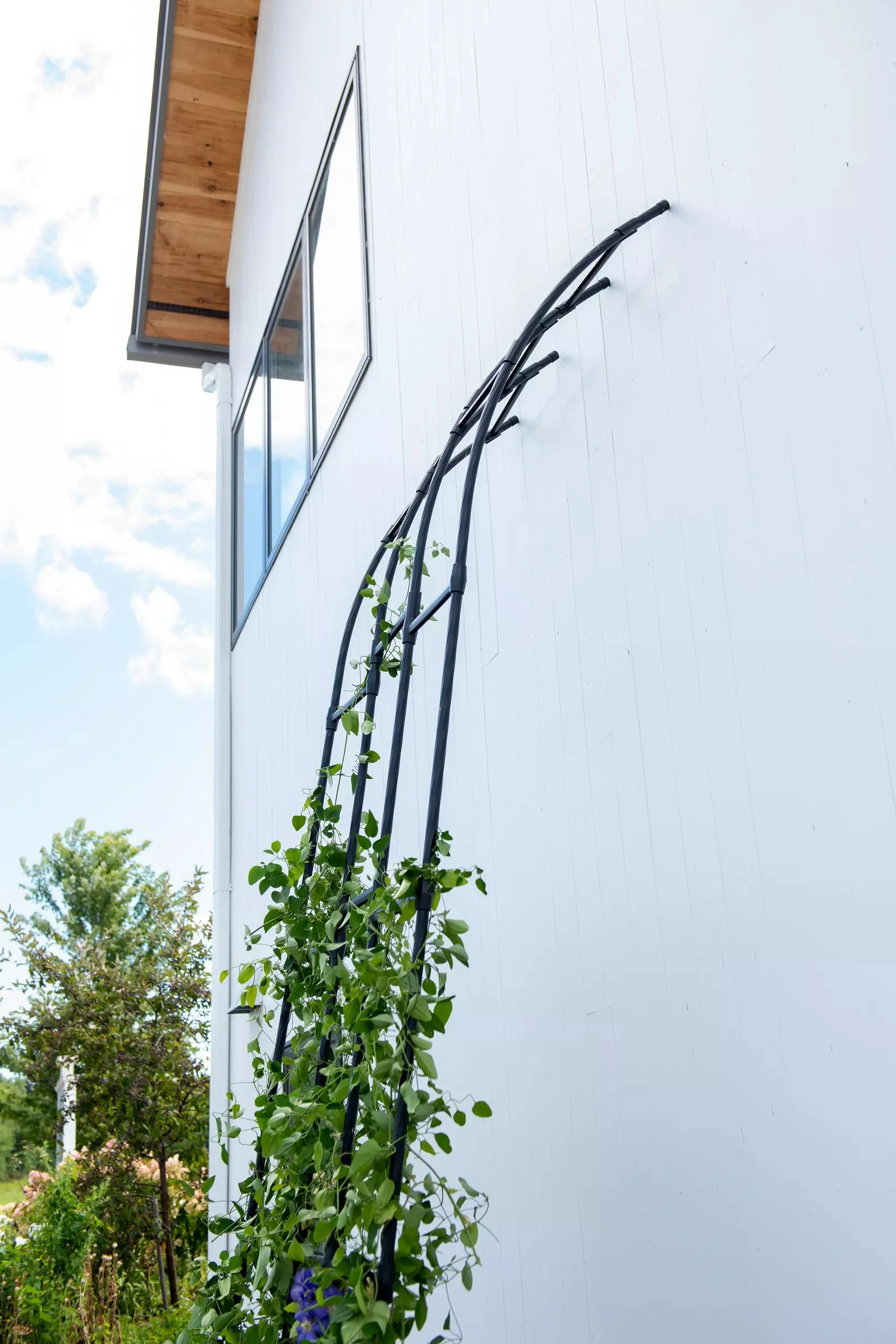Titan™ Half Arch