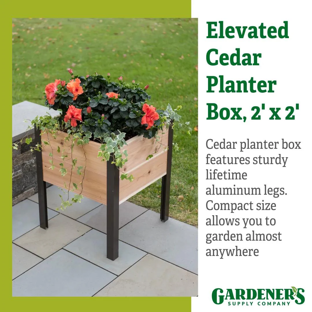 Elevated Planter Box, 2' x 2'