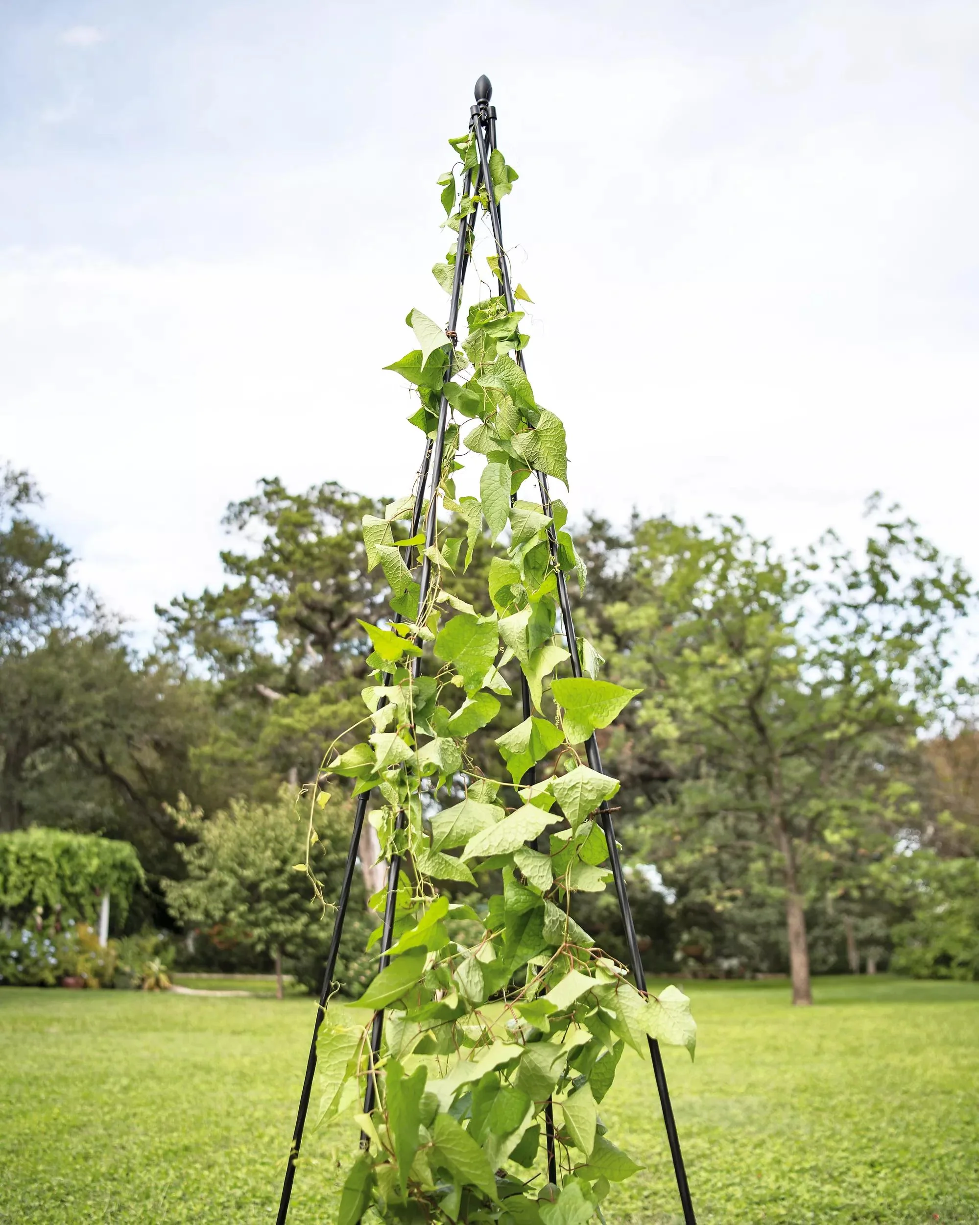 Titan™ Teepee Trellis