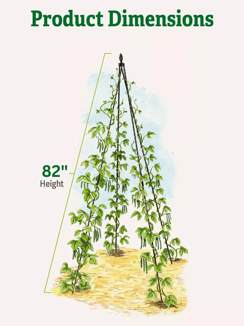 Titan™ Teepee Trellis