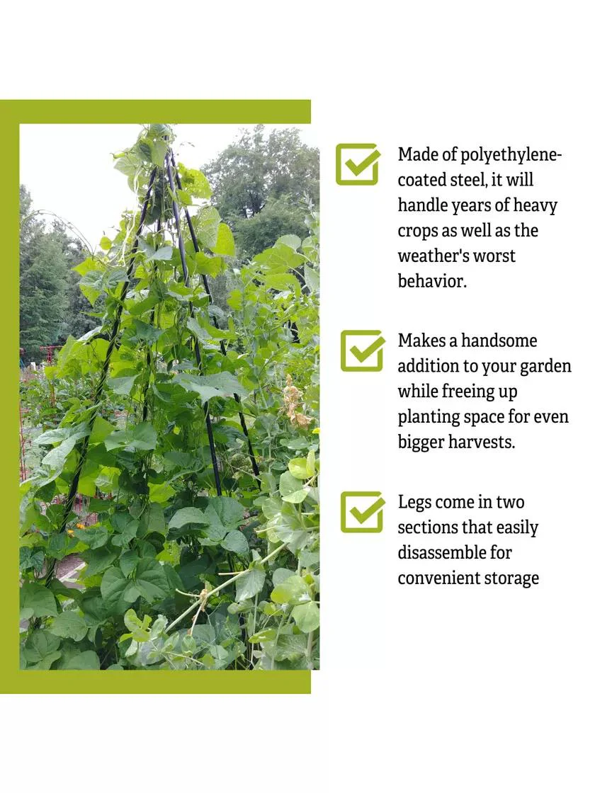 Titan™ Teepee Trellis