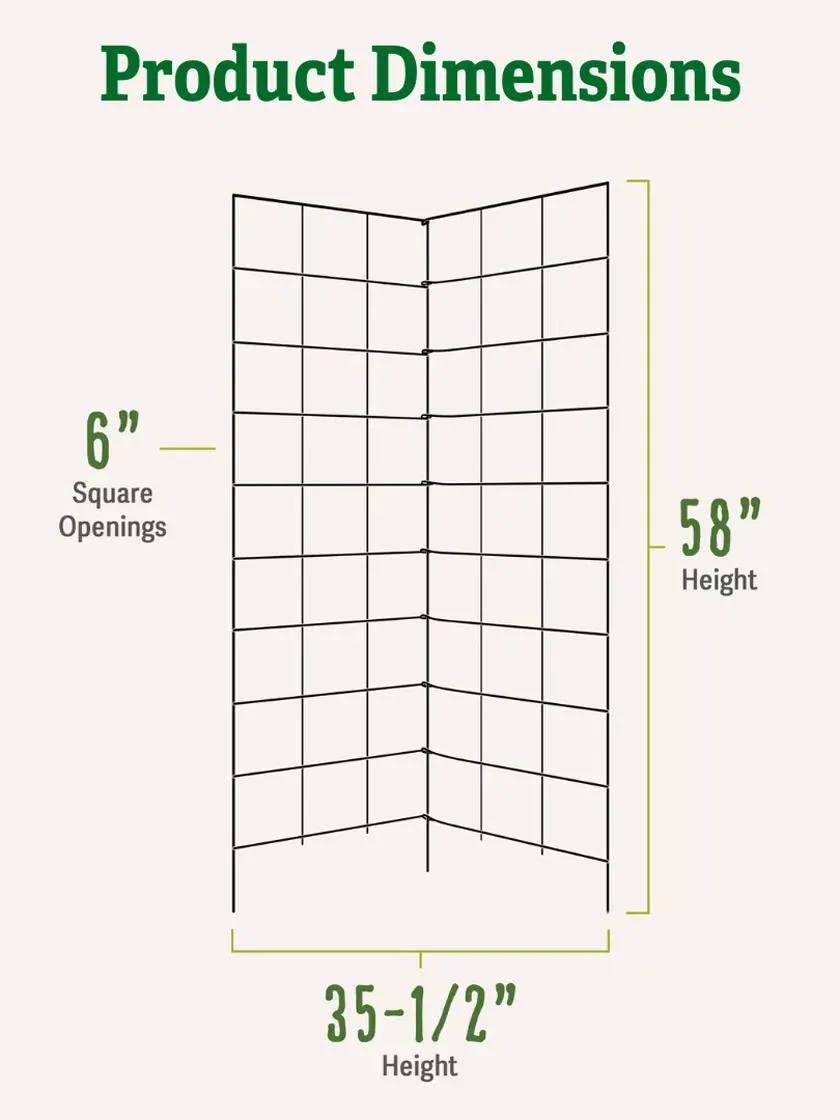 Two Panel Folding Trellis