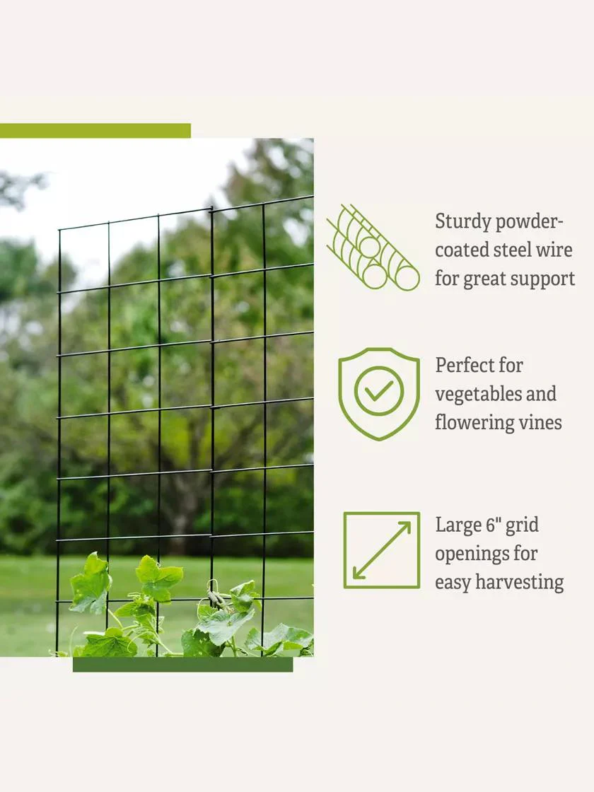 Two Panel Folding Trellis