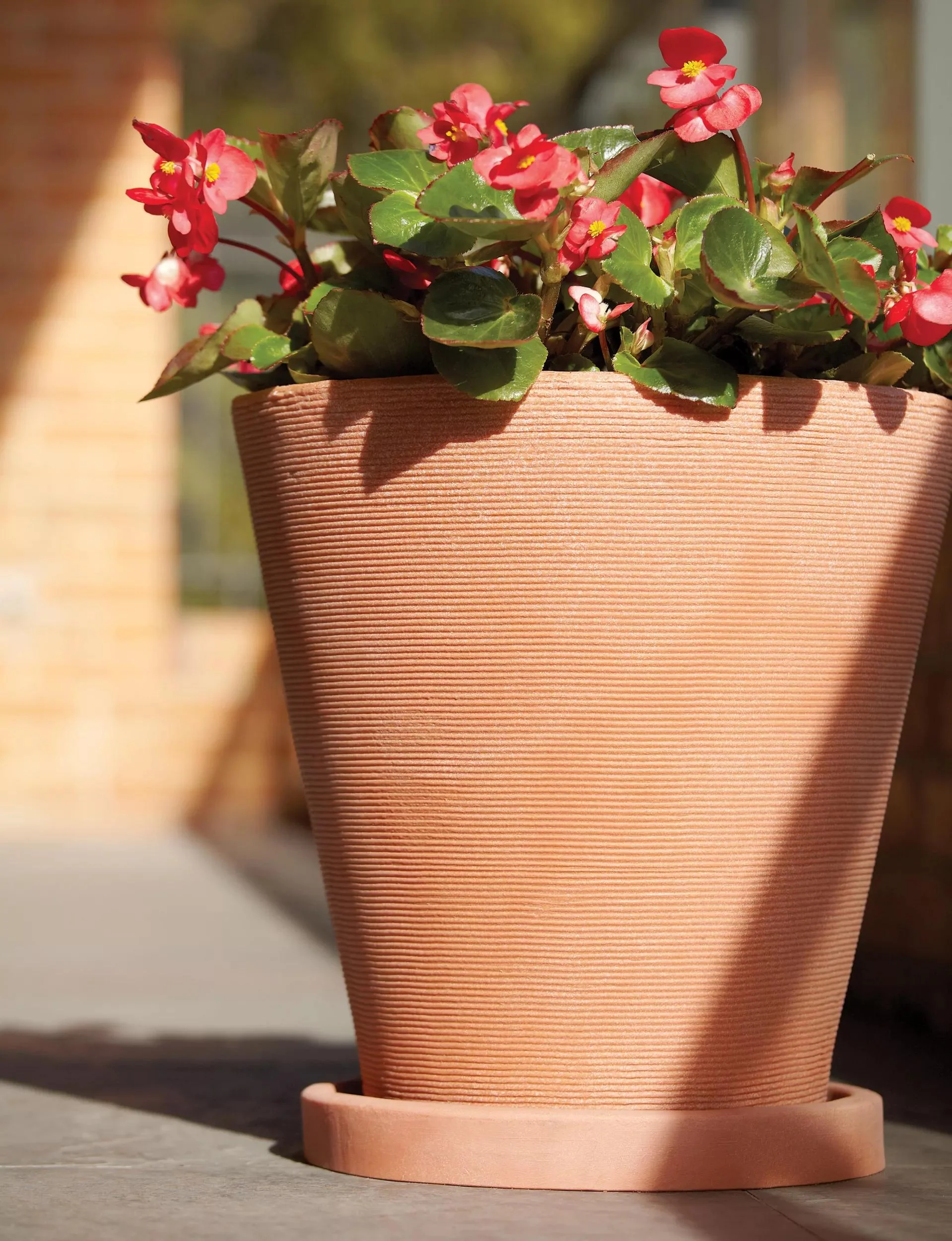 Universal Round Planter Saucers