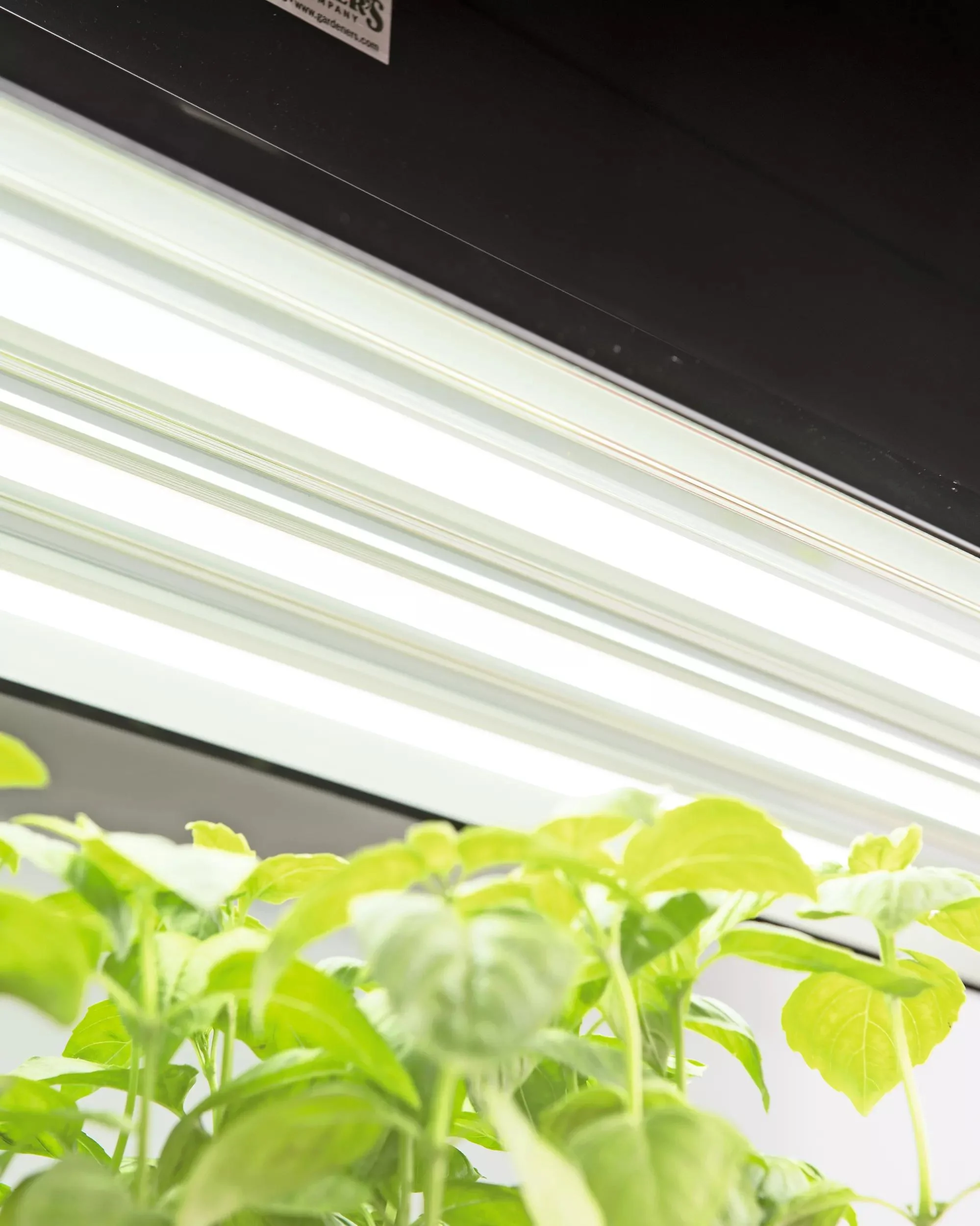 148-led-sunlite-high-intensity-fixture-1.webp LED SunLite® High Intensity Fixture