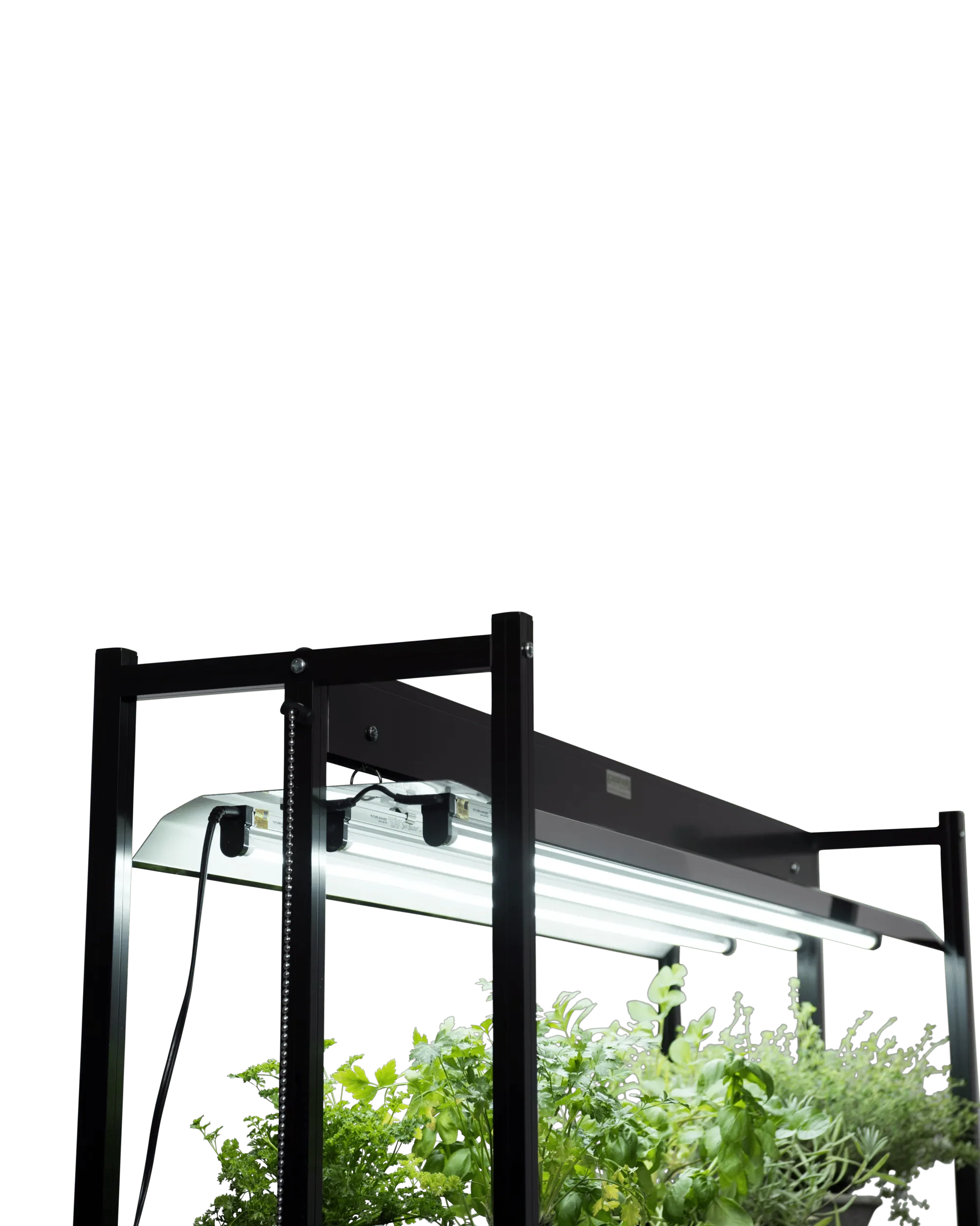 148-led-sunlite-high-intensity-fixture-2.webp LED SunLite® High Intensity Fixture