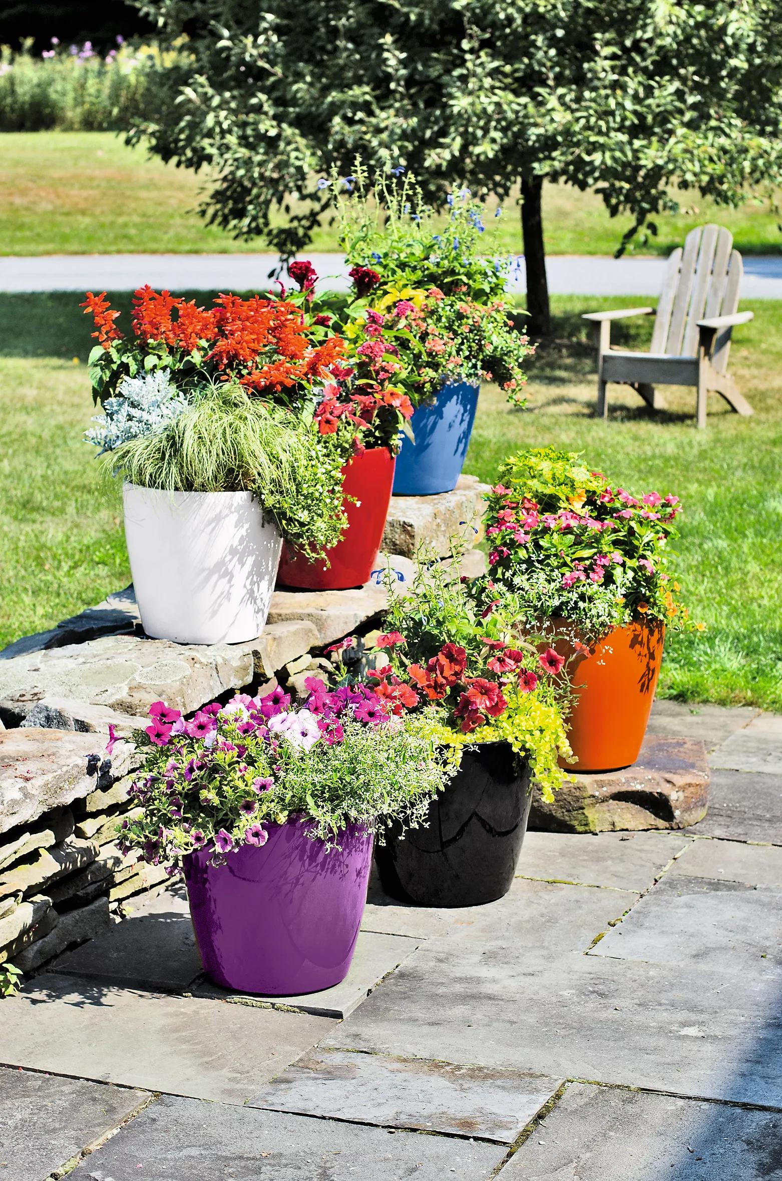 1513-vivatm-round-self-watering-rolling-planter-14-diameter-1.jpg Viva™ Round Self-Watering Rolling Planter, 14" Diameter