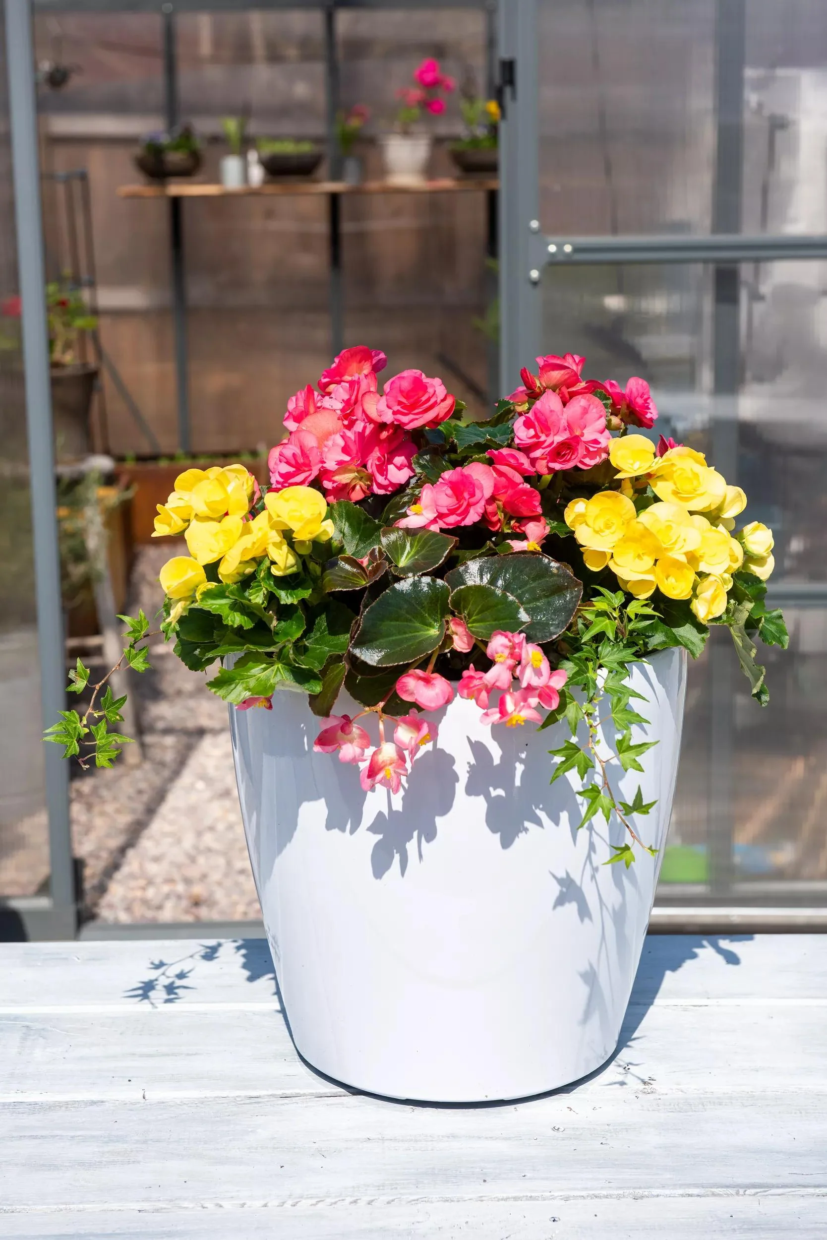 Viva™ Round Self-Watering Rolling Planter, 14" Diameter