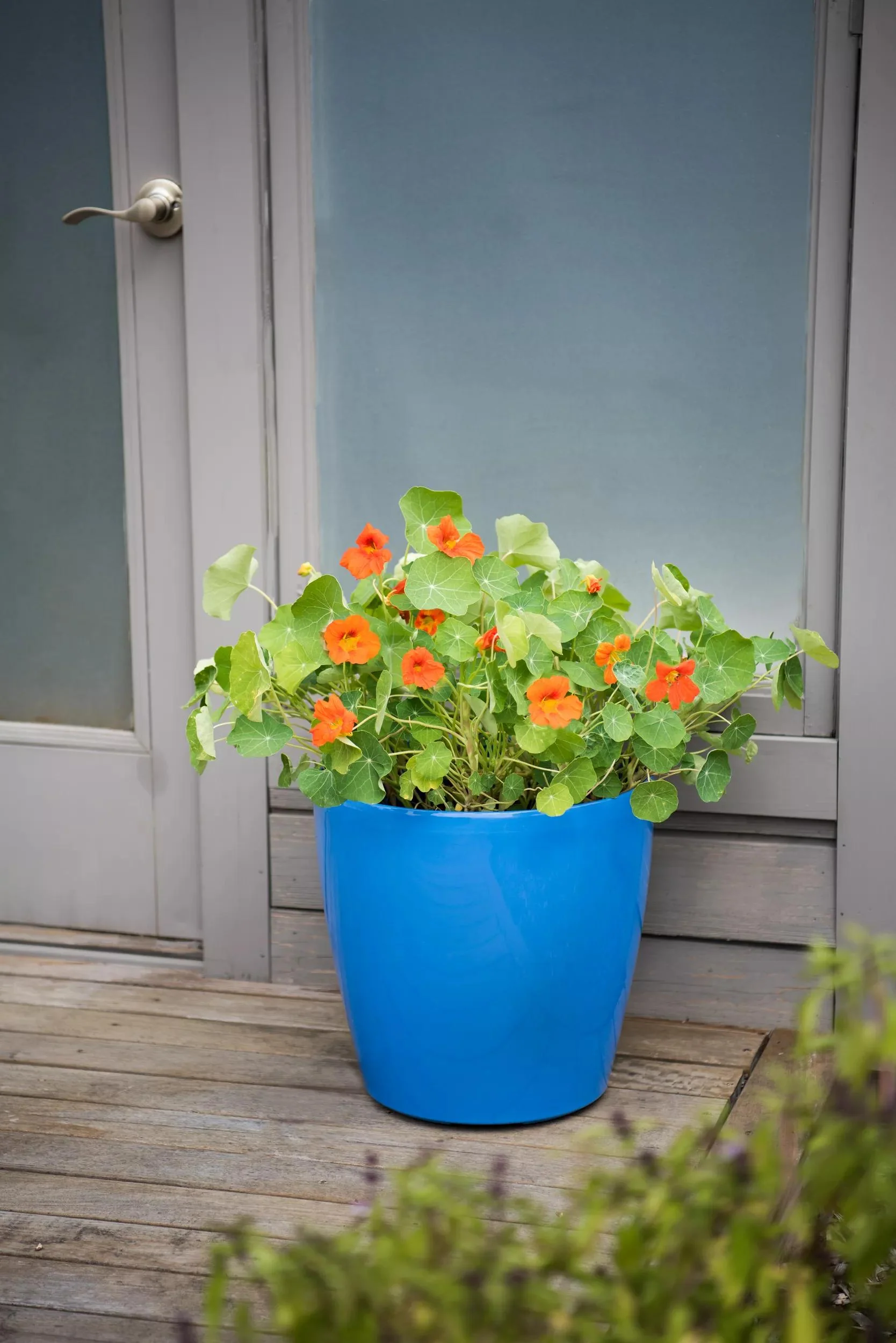 1521-vivatm-round-self-watering-rolling-planter-17.25-diameter-1.webp Viva™ Round Self-Watering Rolling Planter, 17.25” Diameter