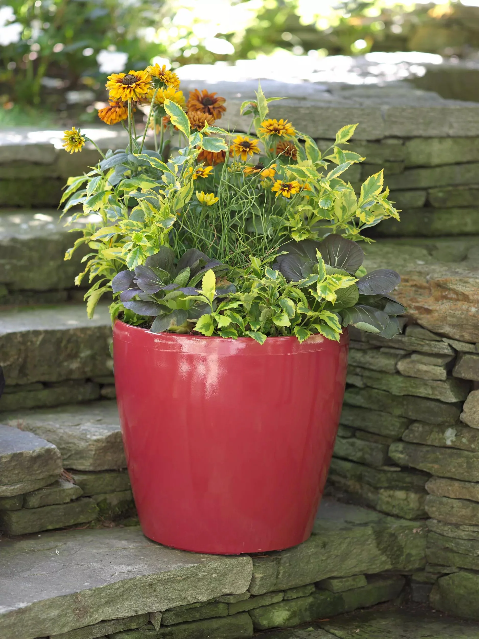Viva™ Round Self-Watering Rolling Planter, 17.25” Diameter
