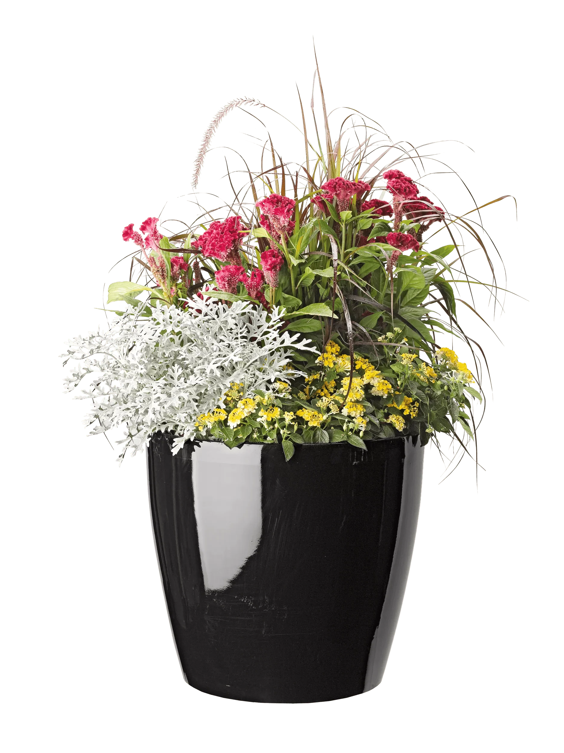 Viva™ Round Self-Watering Rolling Planter, 17.25” Diameter