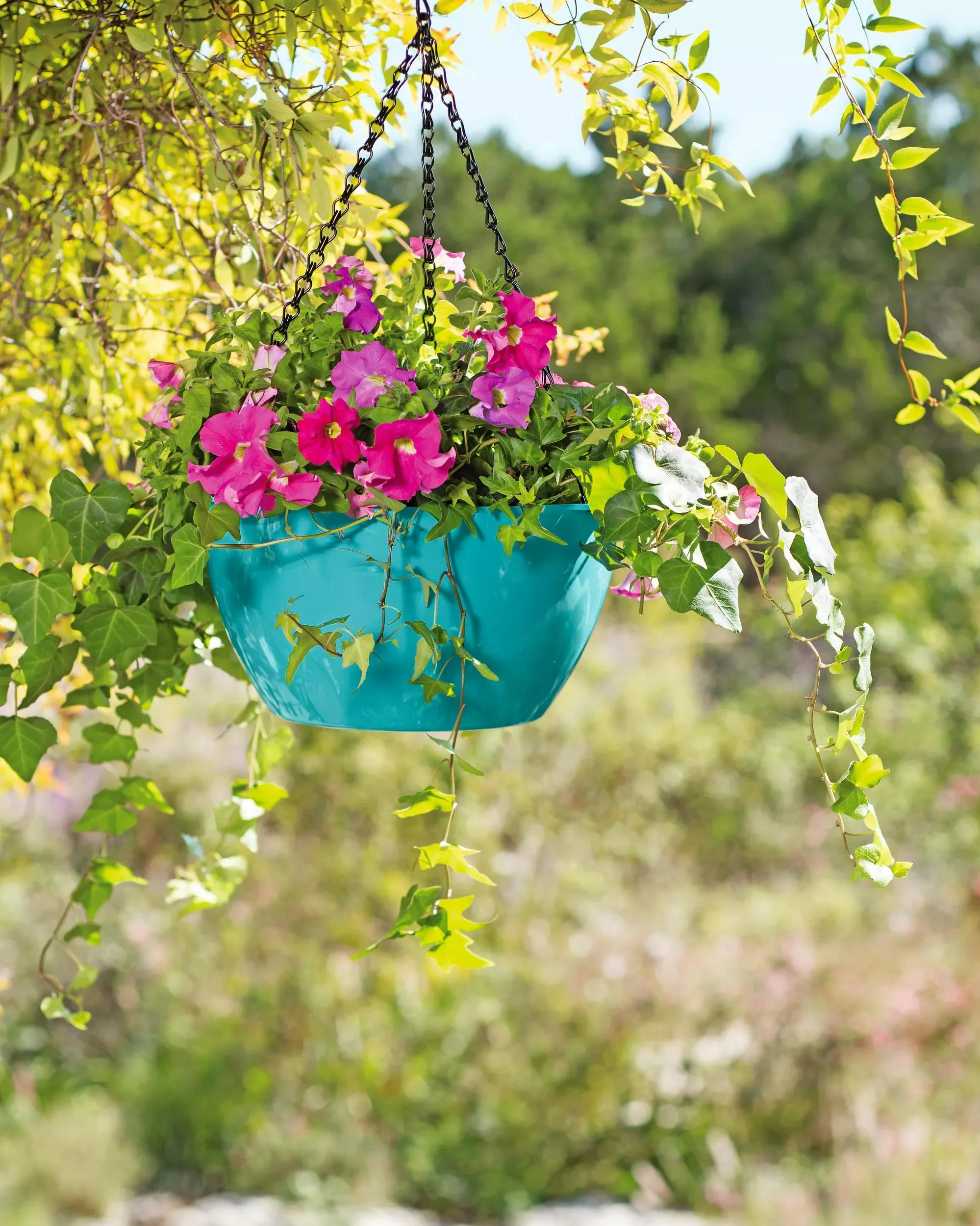 1540-vivatm-self-watering-hanging-basket-11-diameter-2.webp Viva™ Self-Watering Hanging Basket, 11" Diameter