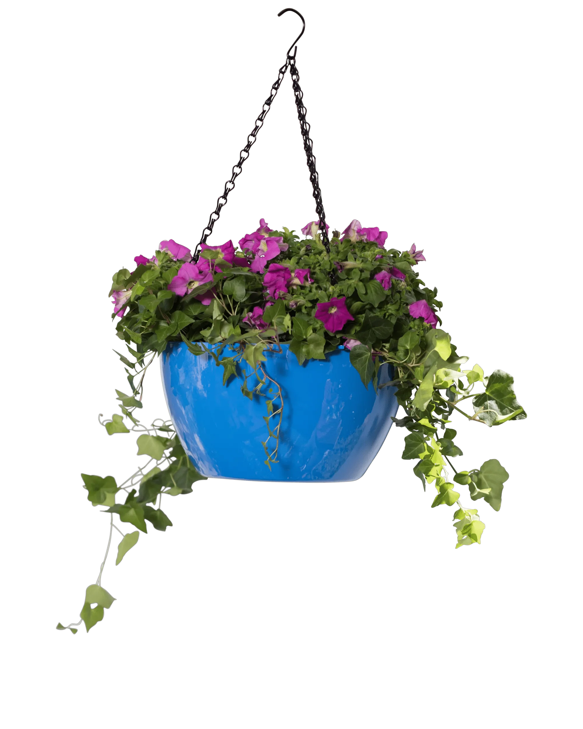 1540-vivatm-self-watering-hanging-basket-11-diameter-3.webp Viva™ Self-Watering Hanging Basket, 11" Diameter