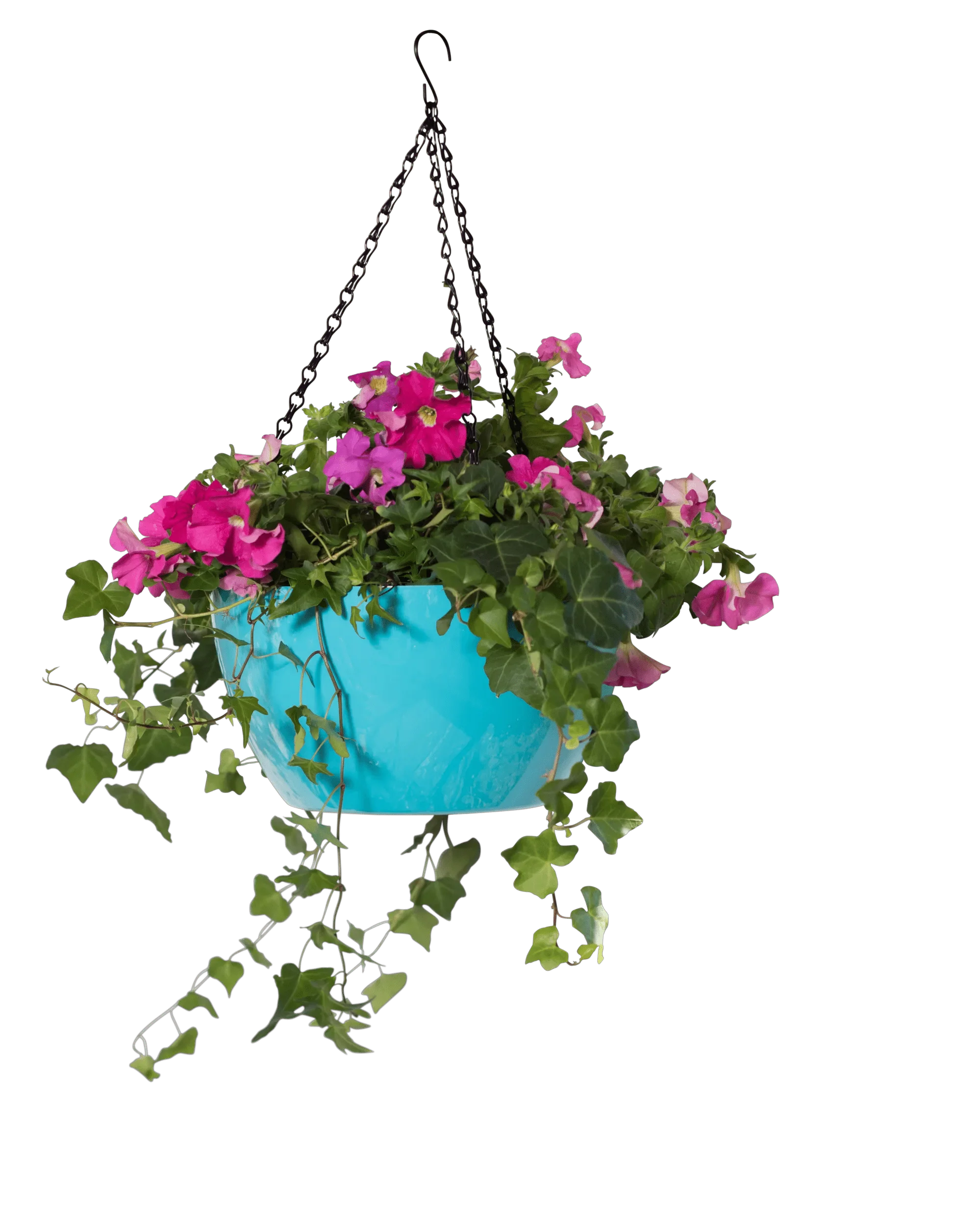 1540-vivatm-self-watering-hanging-basket-11-diameter-5.webp Viva™ Self-Watering Hanging Basket, 11" Diameter