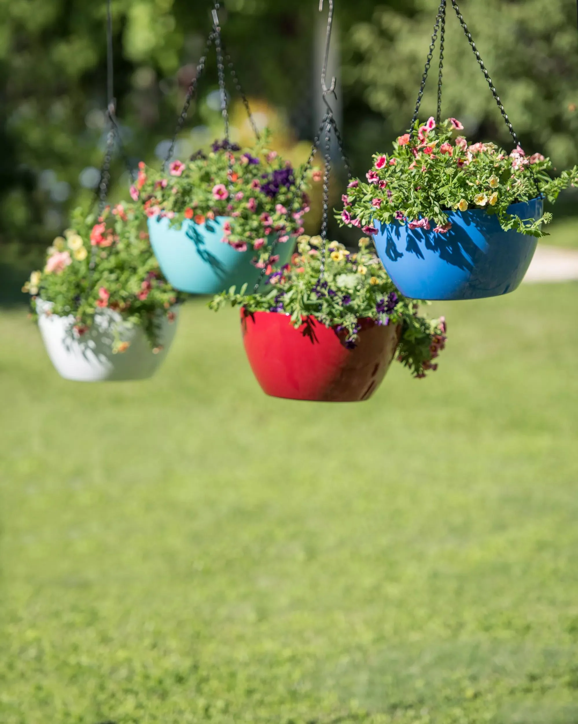 1547-vivatm-self-watering-hanging-basket-14-diameter-1.webp Viva™ Self-Watering Hanging Basket, 14" Diameter