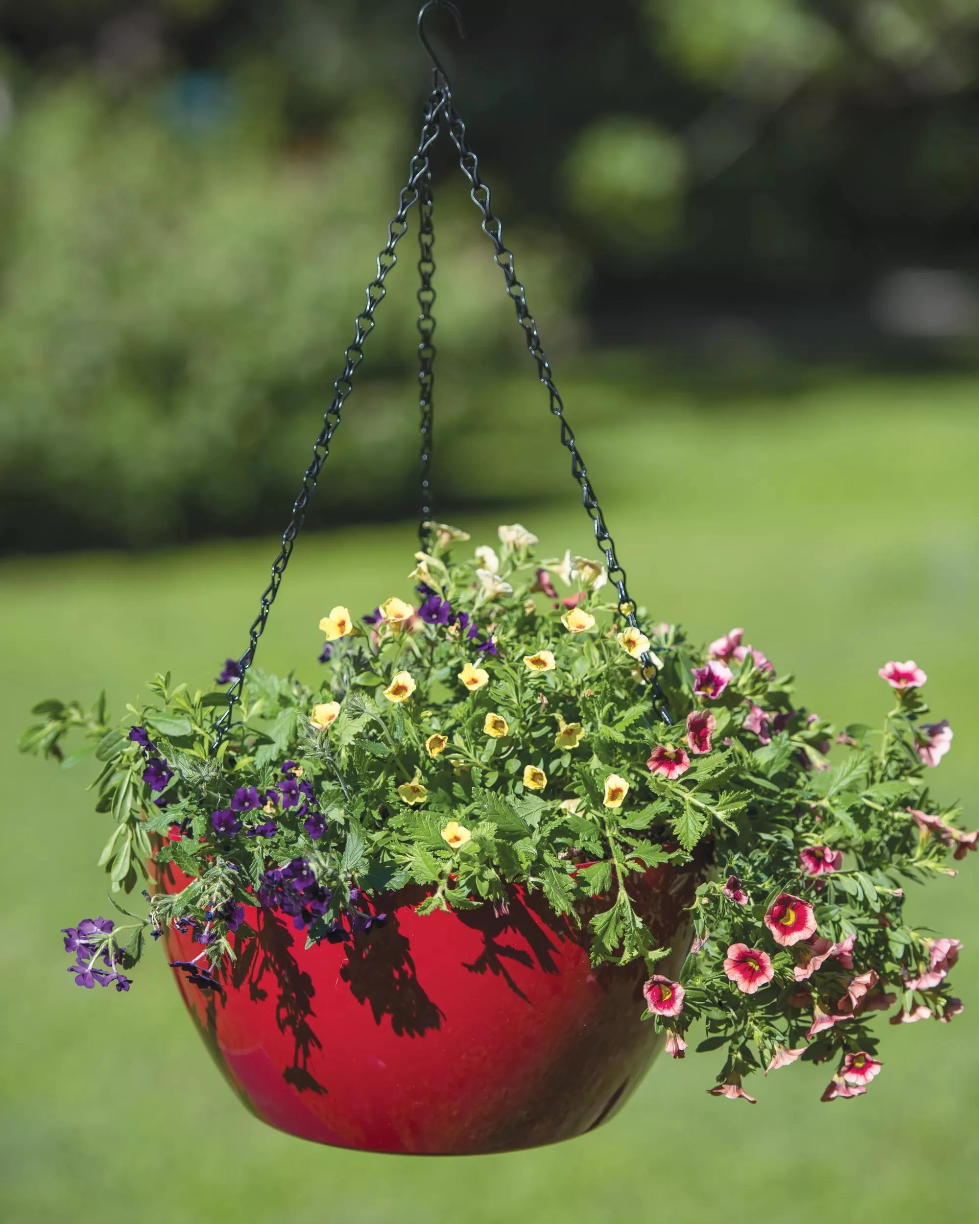 1547-vivatm-self-watering-hanging-basket-14-diameter-2.webp Viva™ Self-Watering Hanging Basket, 14" Diameter