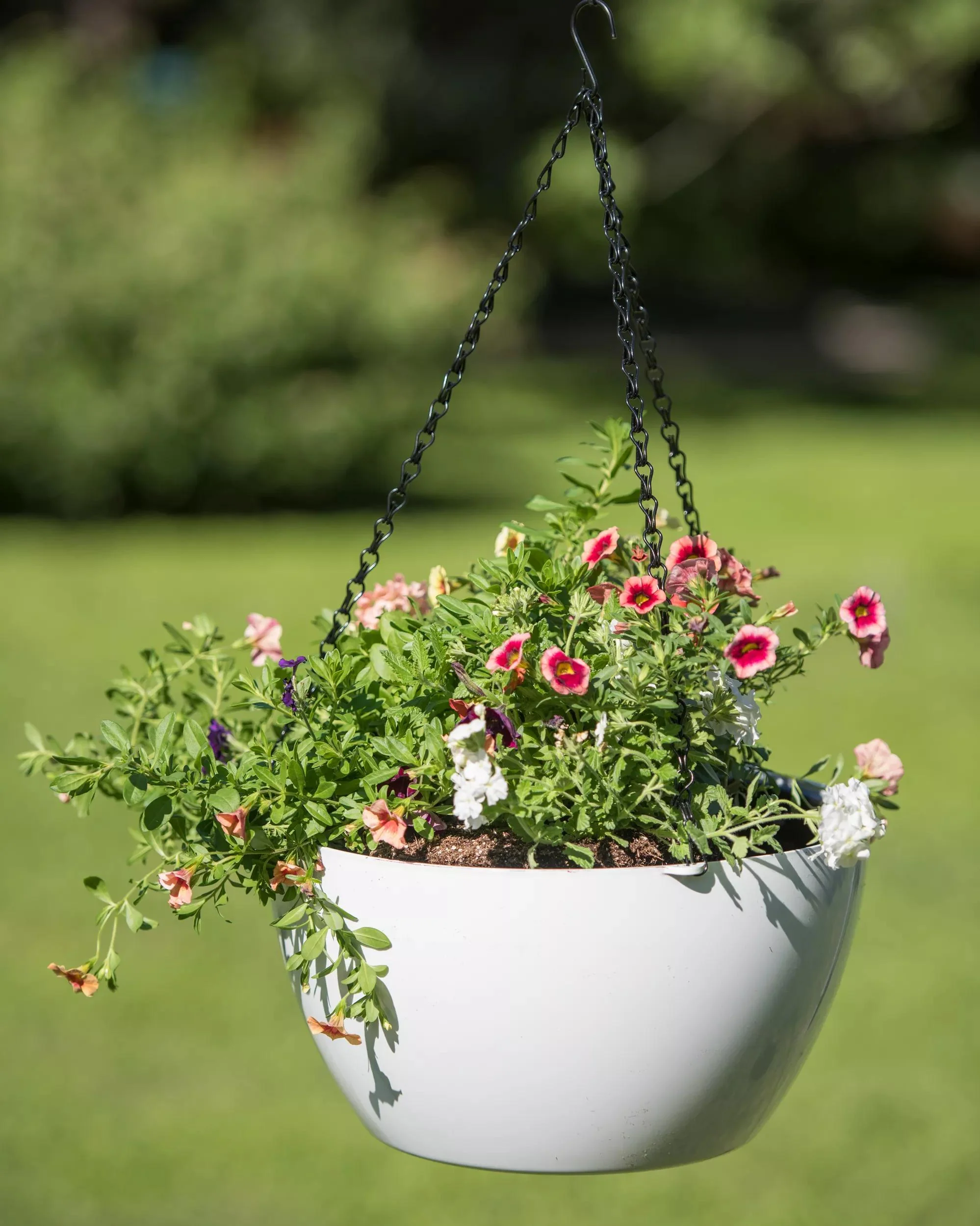 1547-vivatm-self-watering-hanging-basket-14-diameter-3.webp Viva™ Self-Watering Hanging Basket, 14" Diameter