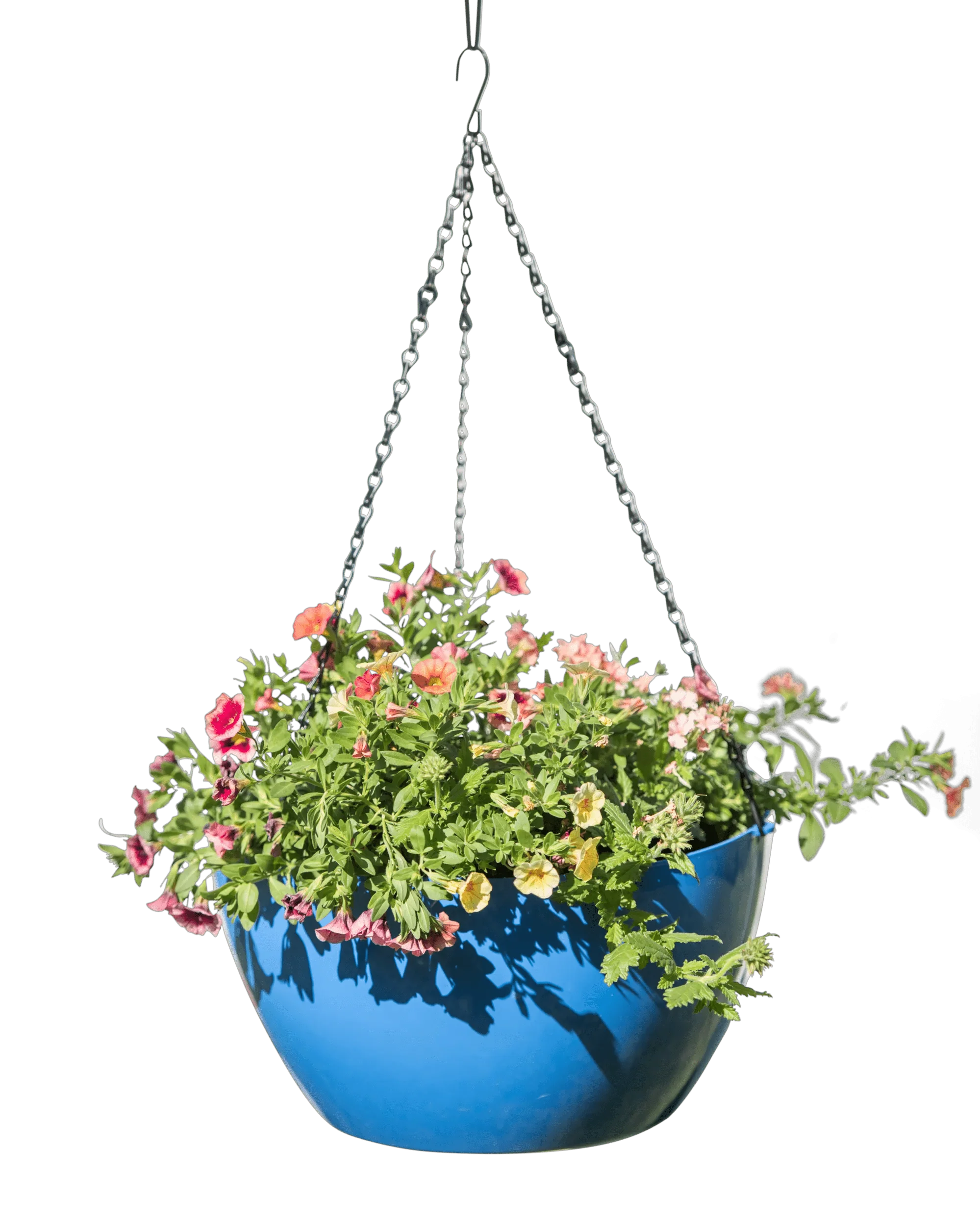 1547-vivatm-self-watering-hanging-basket-14-diameter-6.webp Viva™ Self-Watering Hanging Basket, 14" Diameter