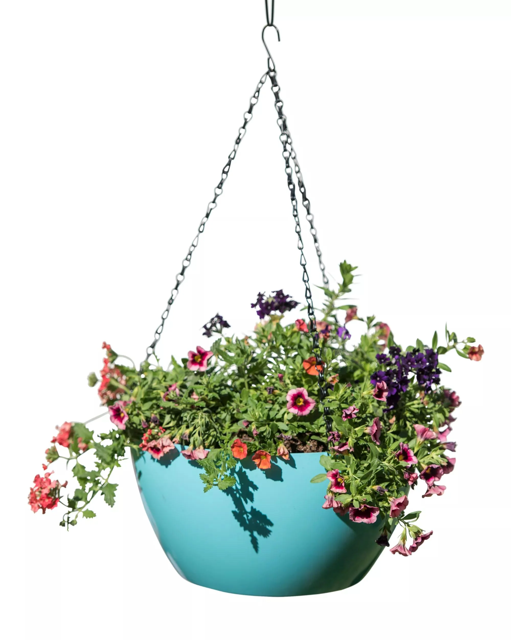 1547-vivatm-self-watering-hanging-basket-14-diameter-8.webp Viva™ Self-Watering Hanging Basket, 14" Diameter