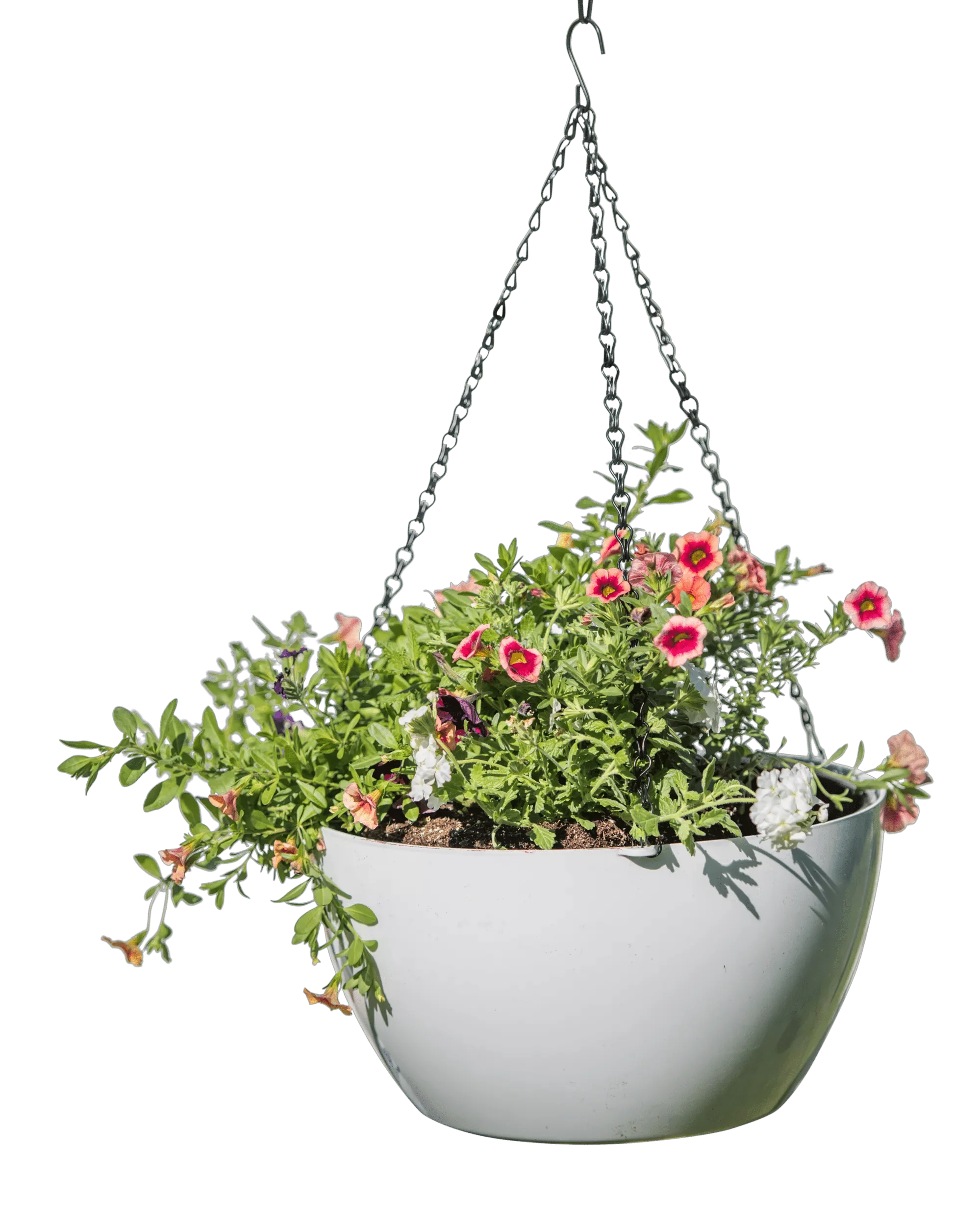 1547-vivatm-self-watering-hanging-basket-14-diameter-9.webp Viva™ Self-Watering Hanging Basket, 14" Diameter