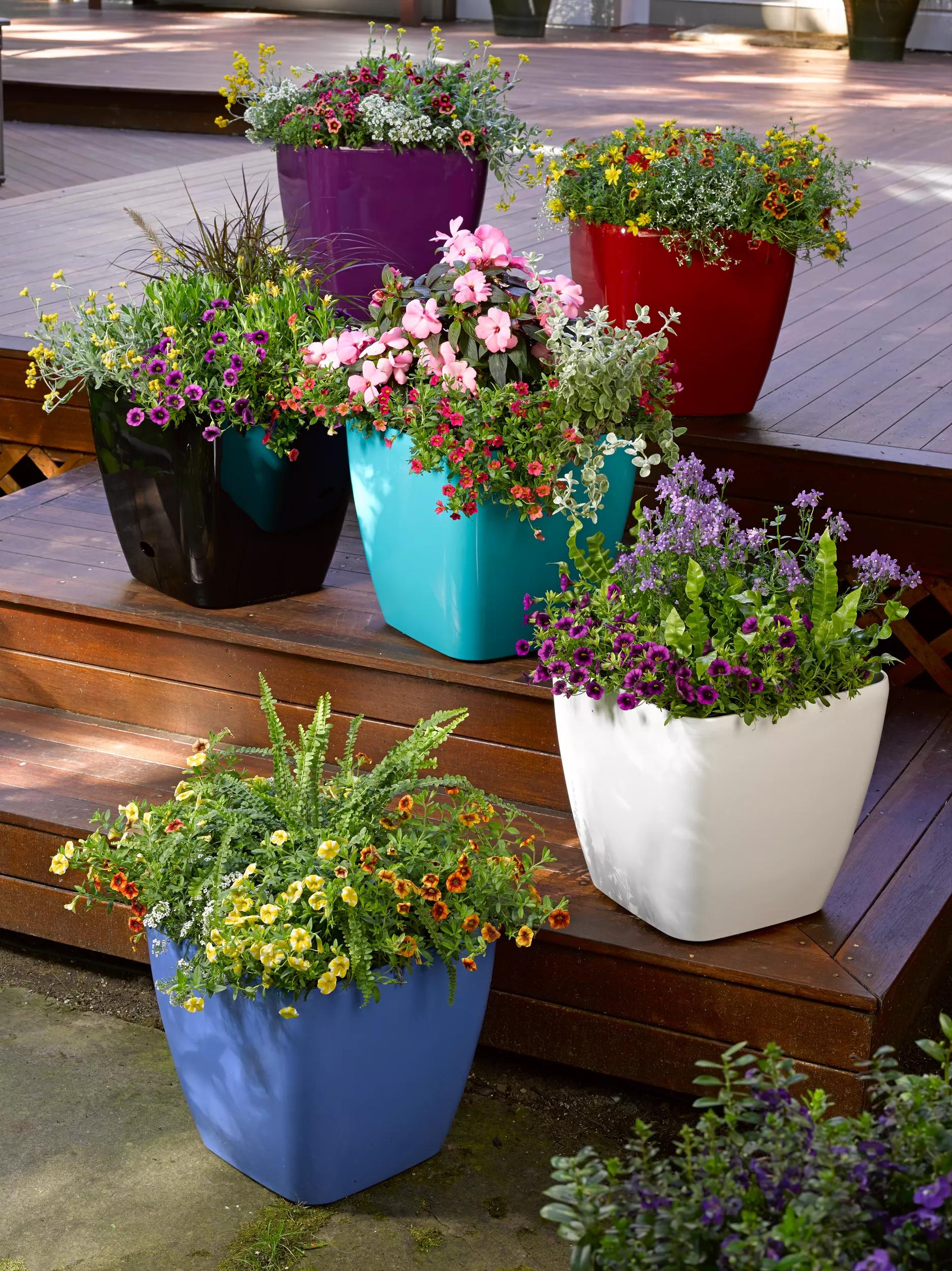 1552-vivatm-square-self-watering-rolling-planter-14-diameter-1.jpg Viva™ Square Self-Watering Rolling Planter, 14" Diameter