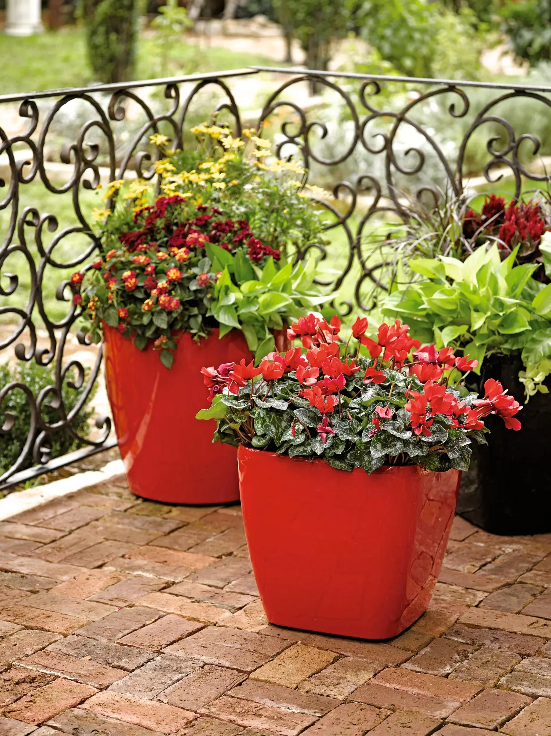 Viva™ Square Self-Watering Rolling Planter, 14" Diameter